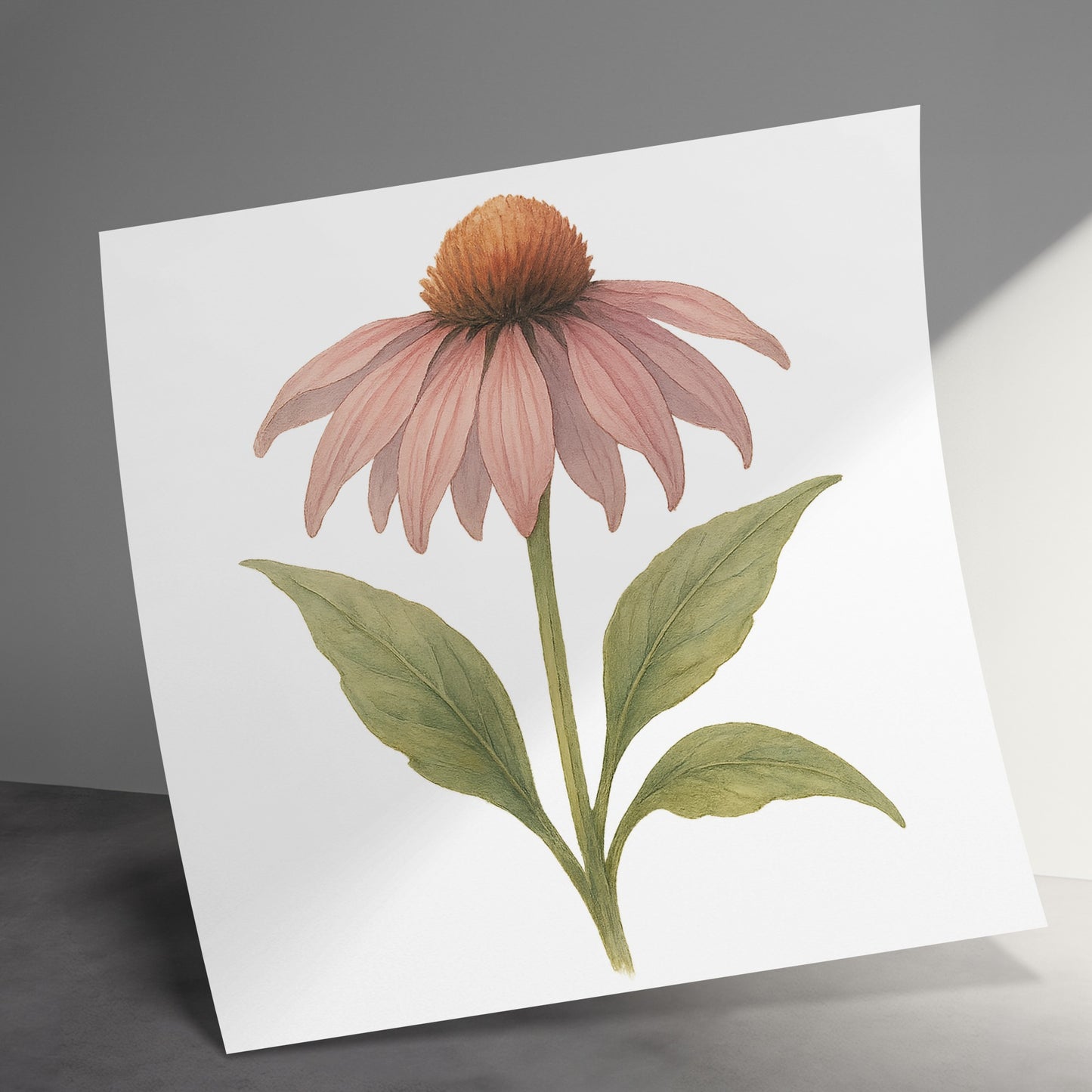 Beautifully Illustrated Botanical Art Print product type
