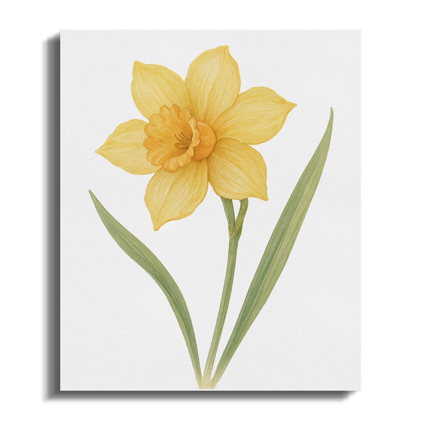 Beautiful Yellow Daffodil Botanical Wall Art product type