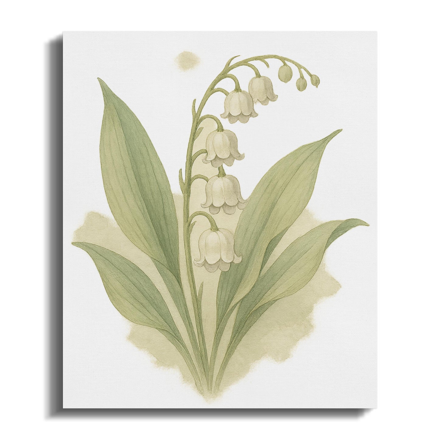 Beautiful Lily Of The Valley Botanical Print product type