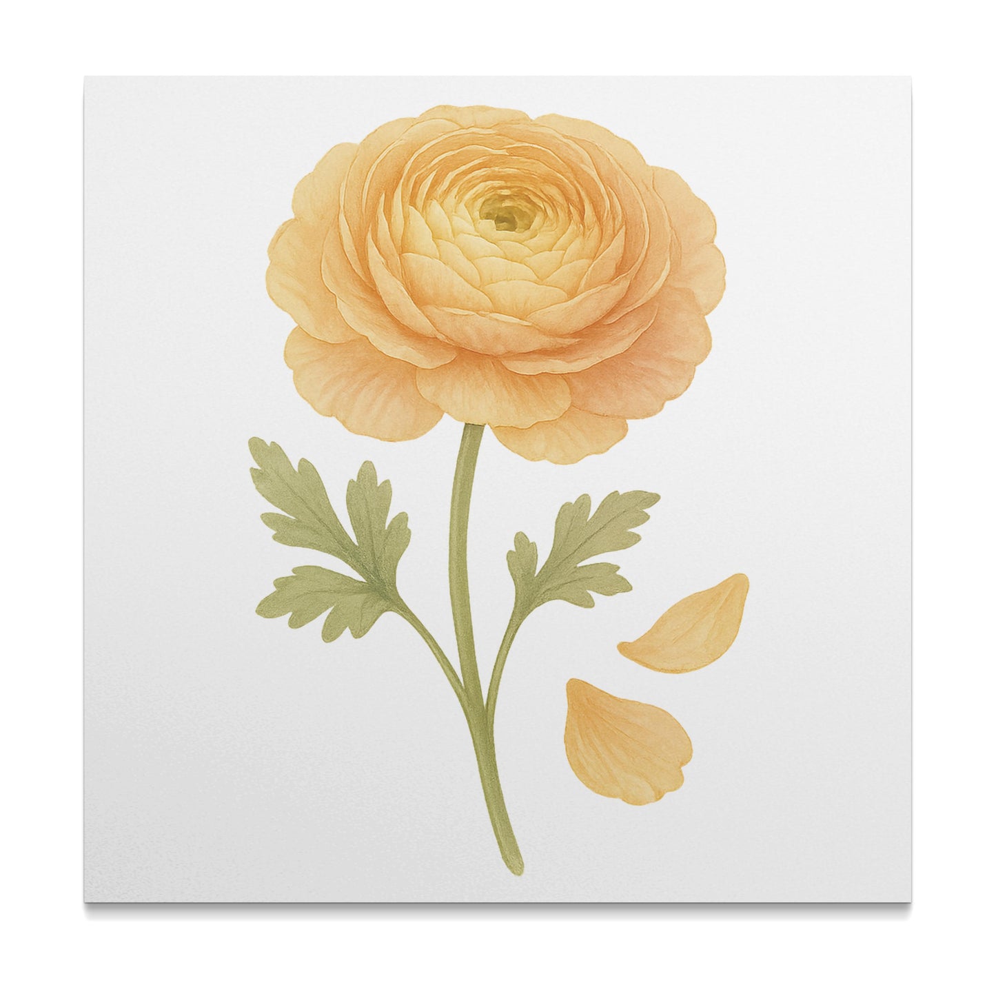 Beautiful Yellow Flower Wall Art Canvas product