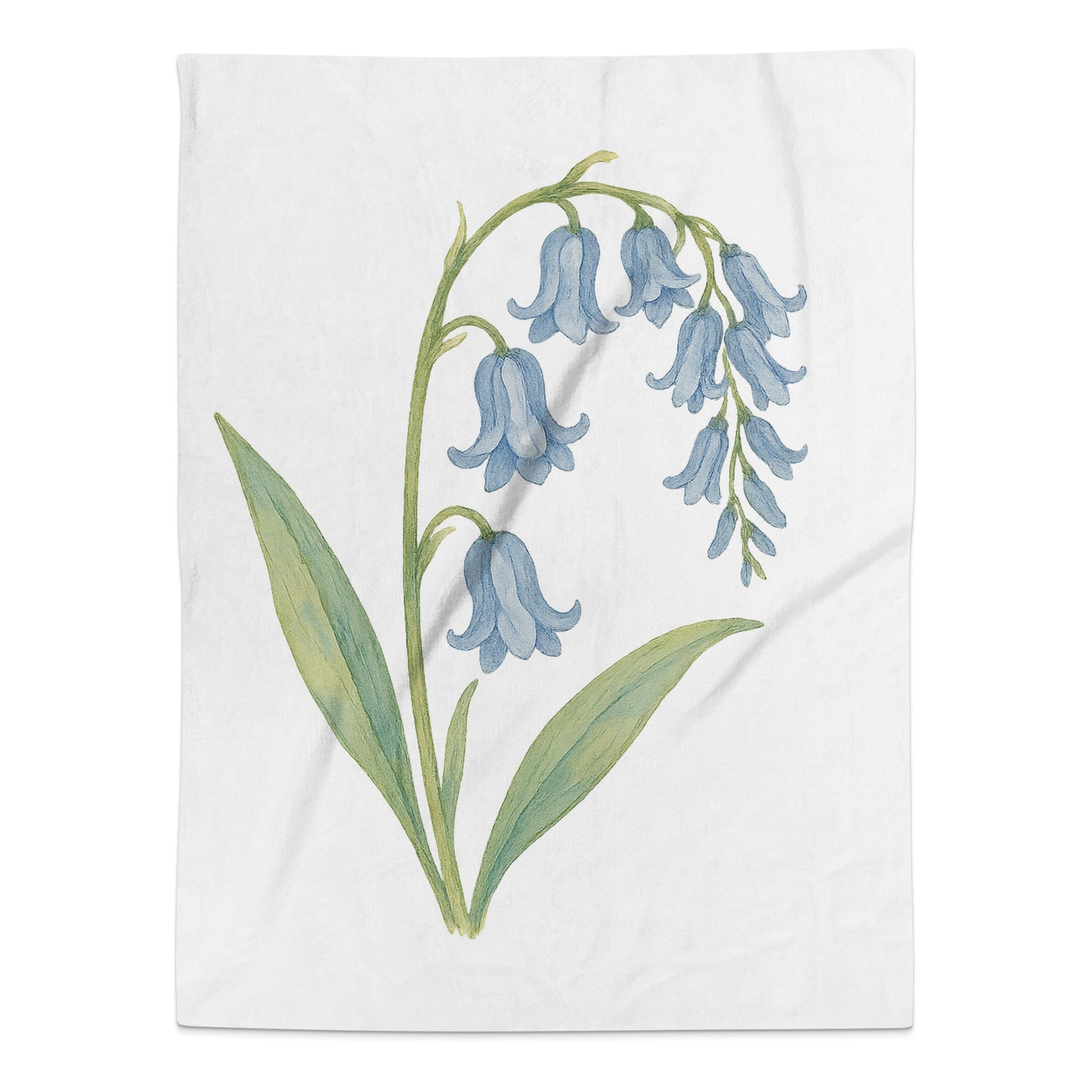 Bluebell Flower Illustration Home Decor Product
