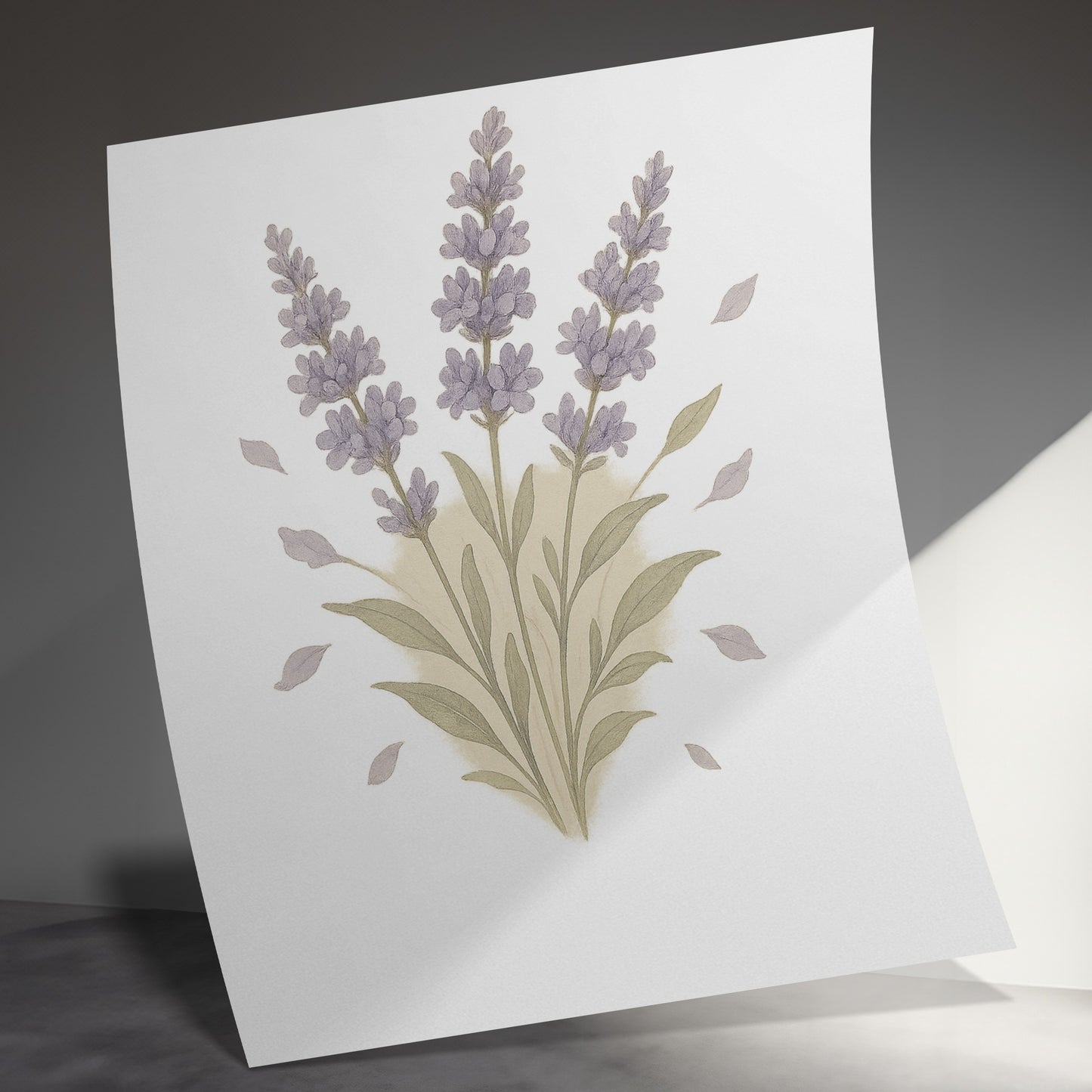 Beautiful Lavender Botanical Illustration art print