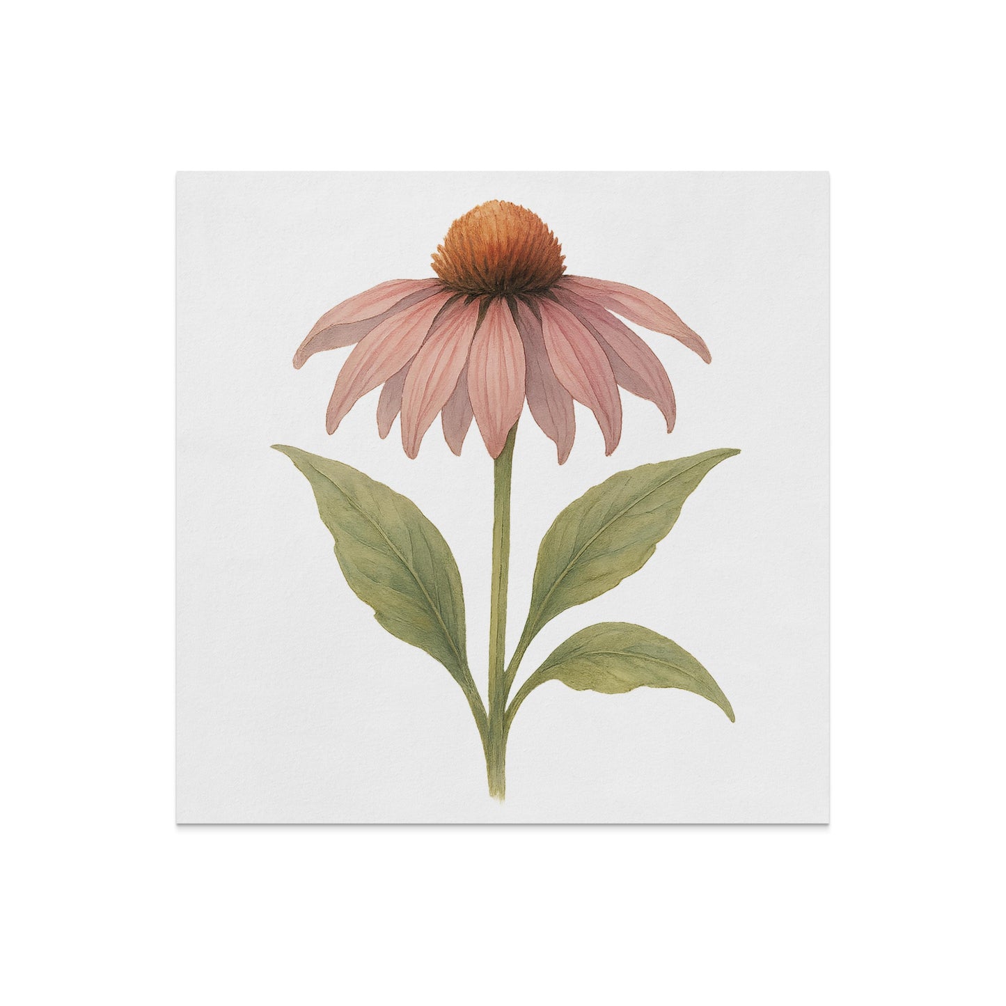 Botanical Bloom Botanical Wall Art product type