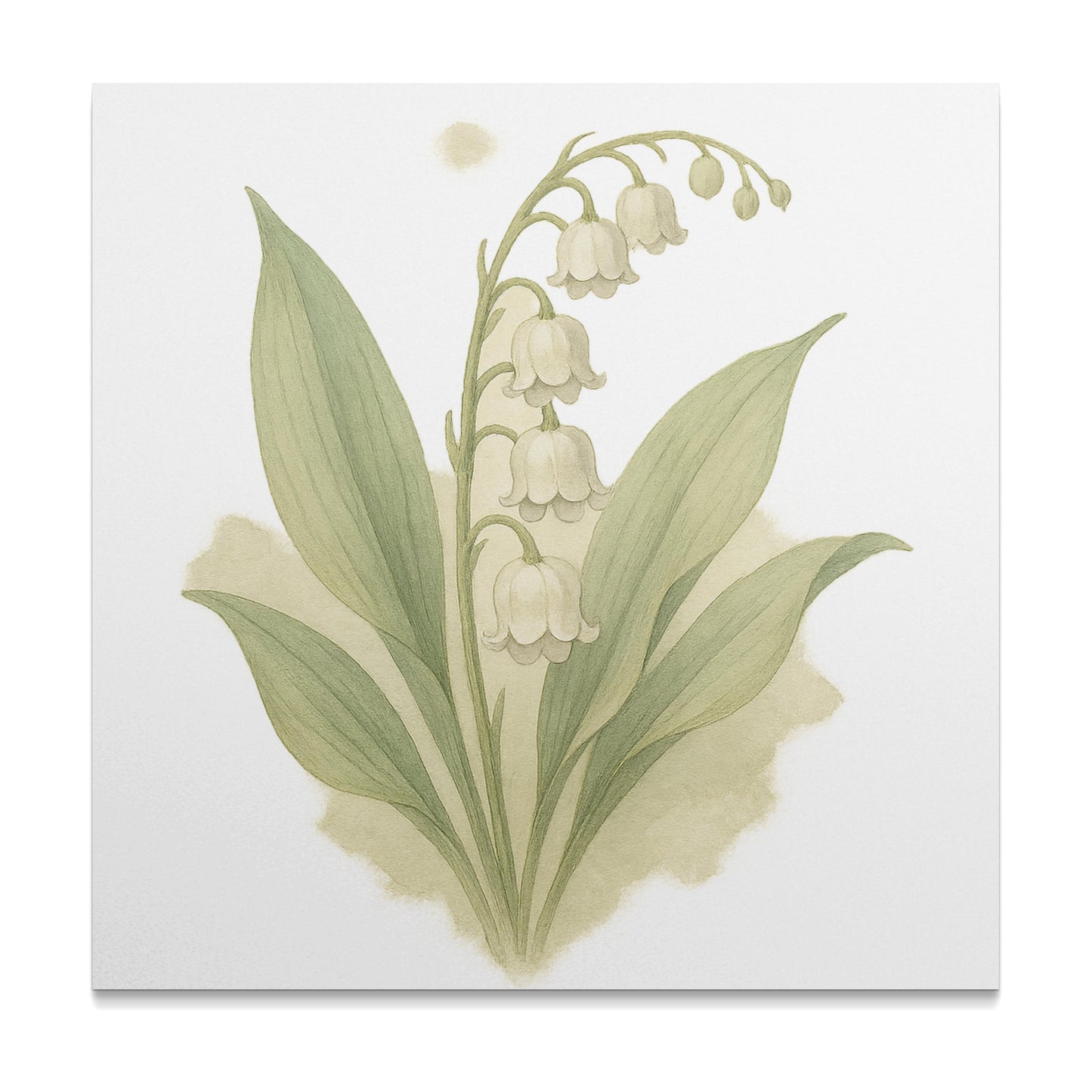 Elegant Lily of the Valley Botanical Artwork product