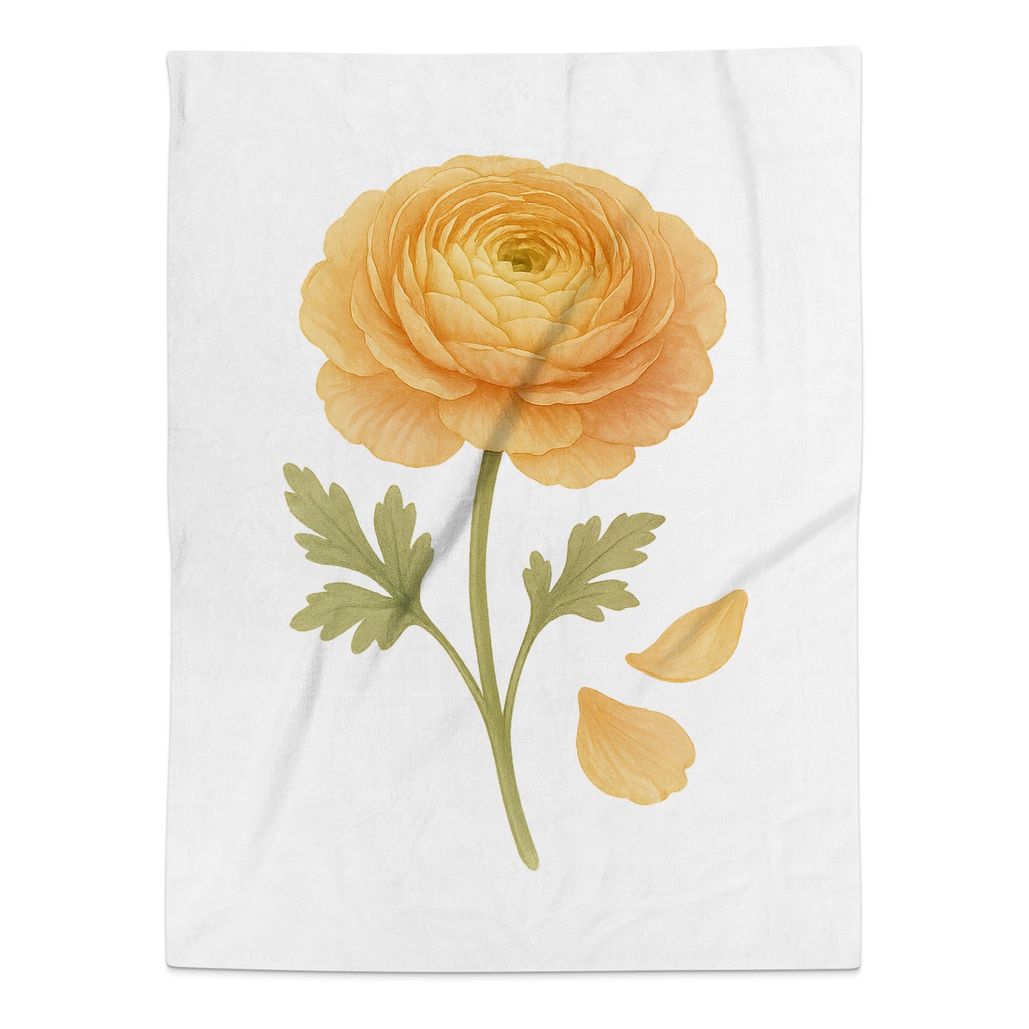 Beautiful Orange Ranunculus Flower Print product type