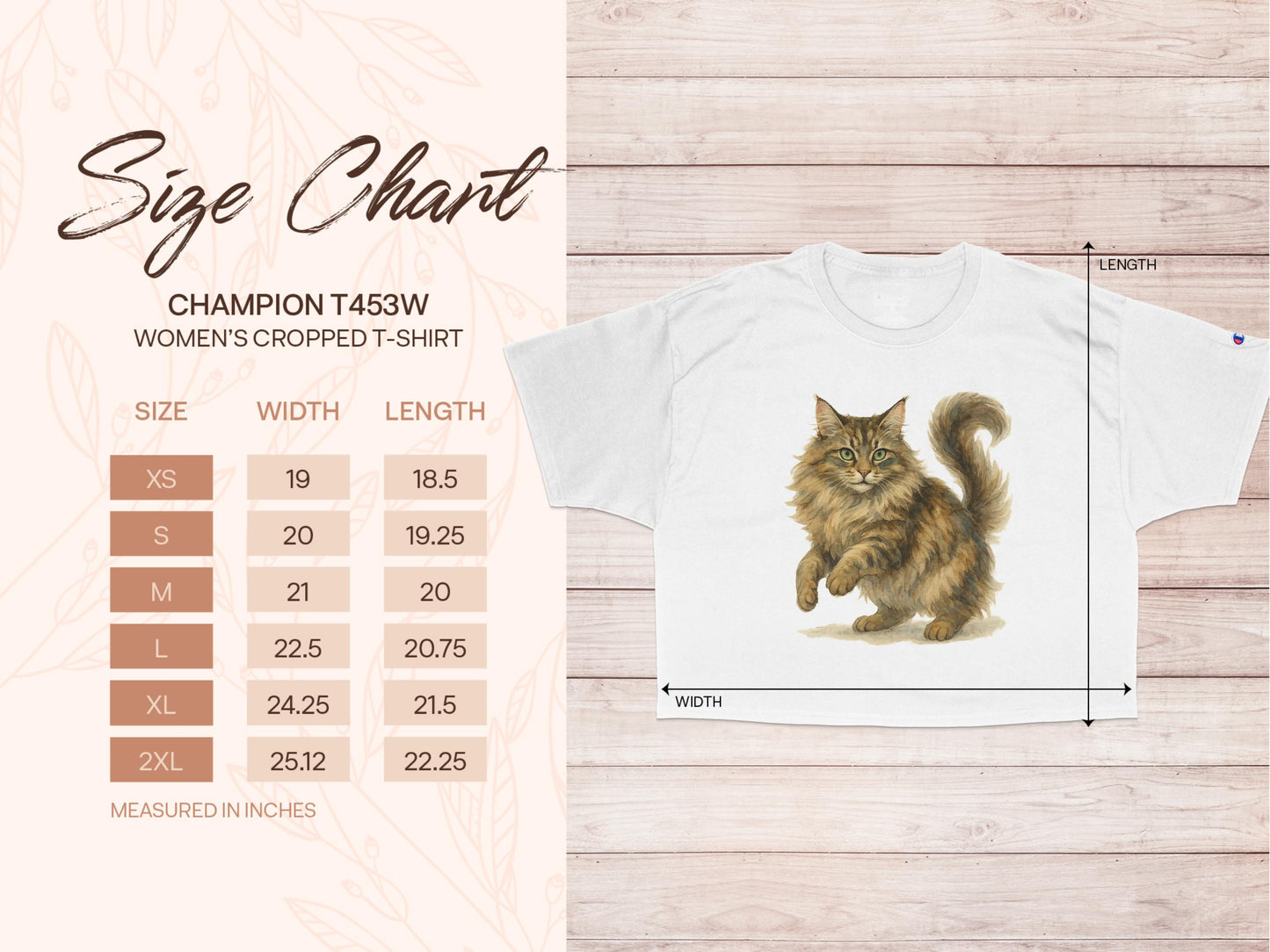 Champion T435W Women's Cropped T-Shirt product type
