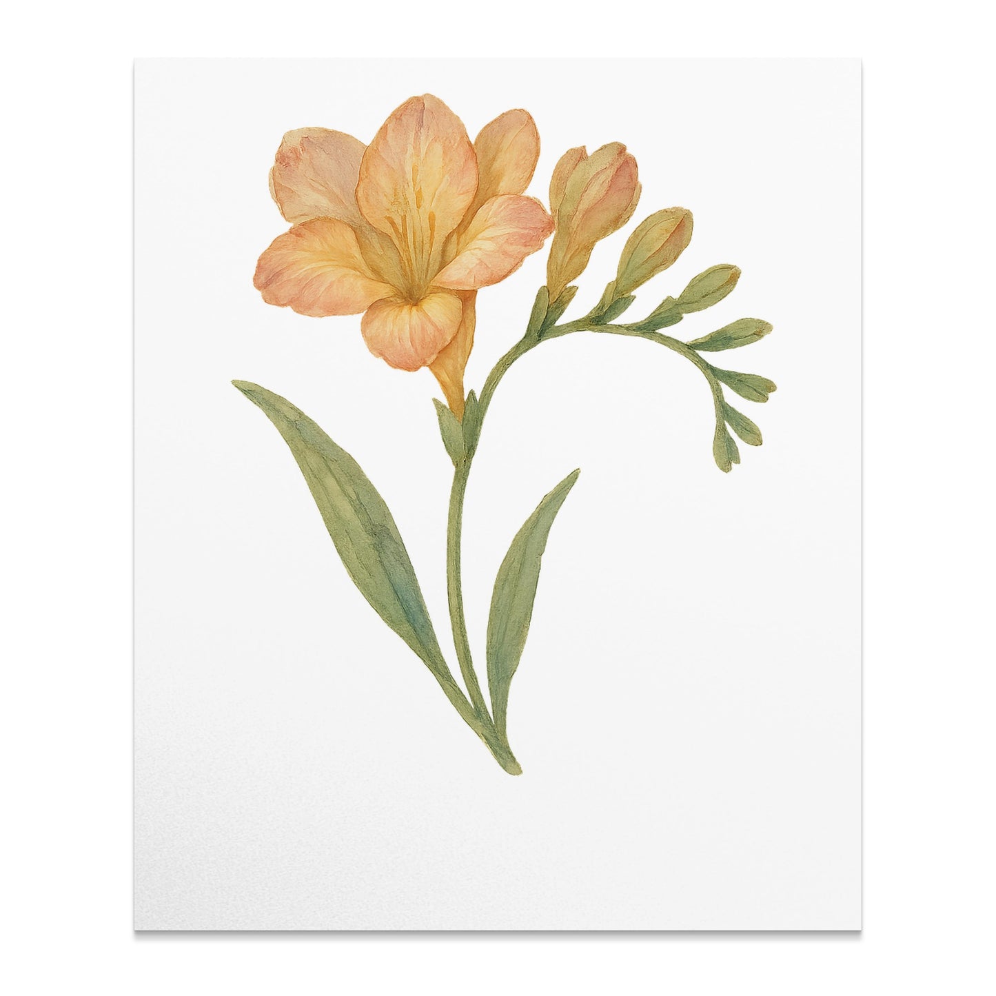 Beautiful Hand-Painted Floral Art Print product