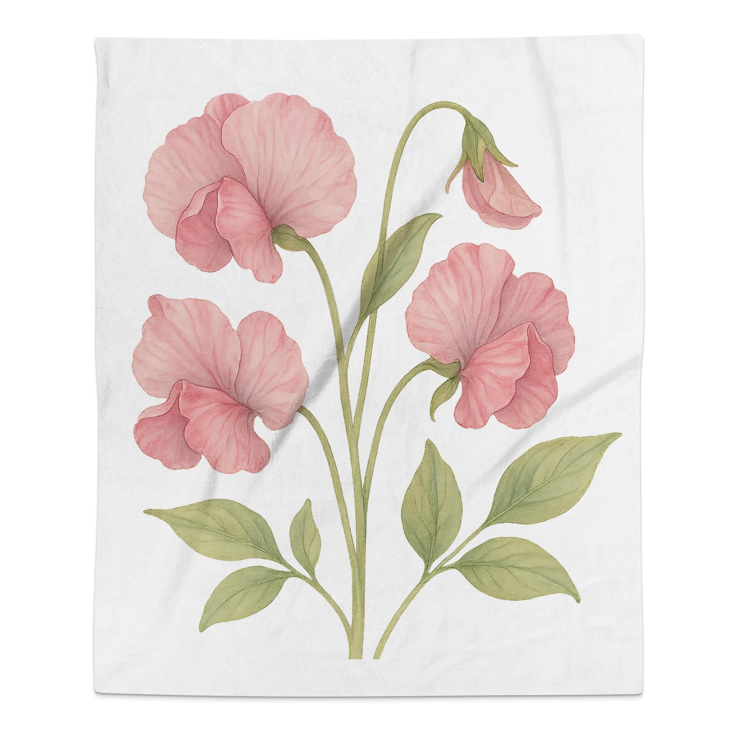 Elegant Pink Blossoms on White Background product