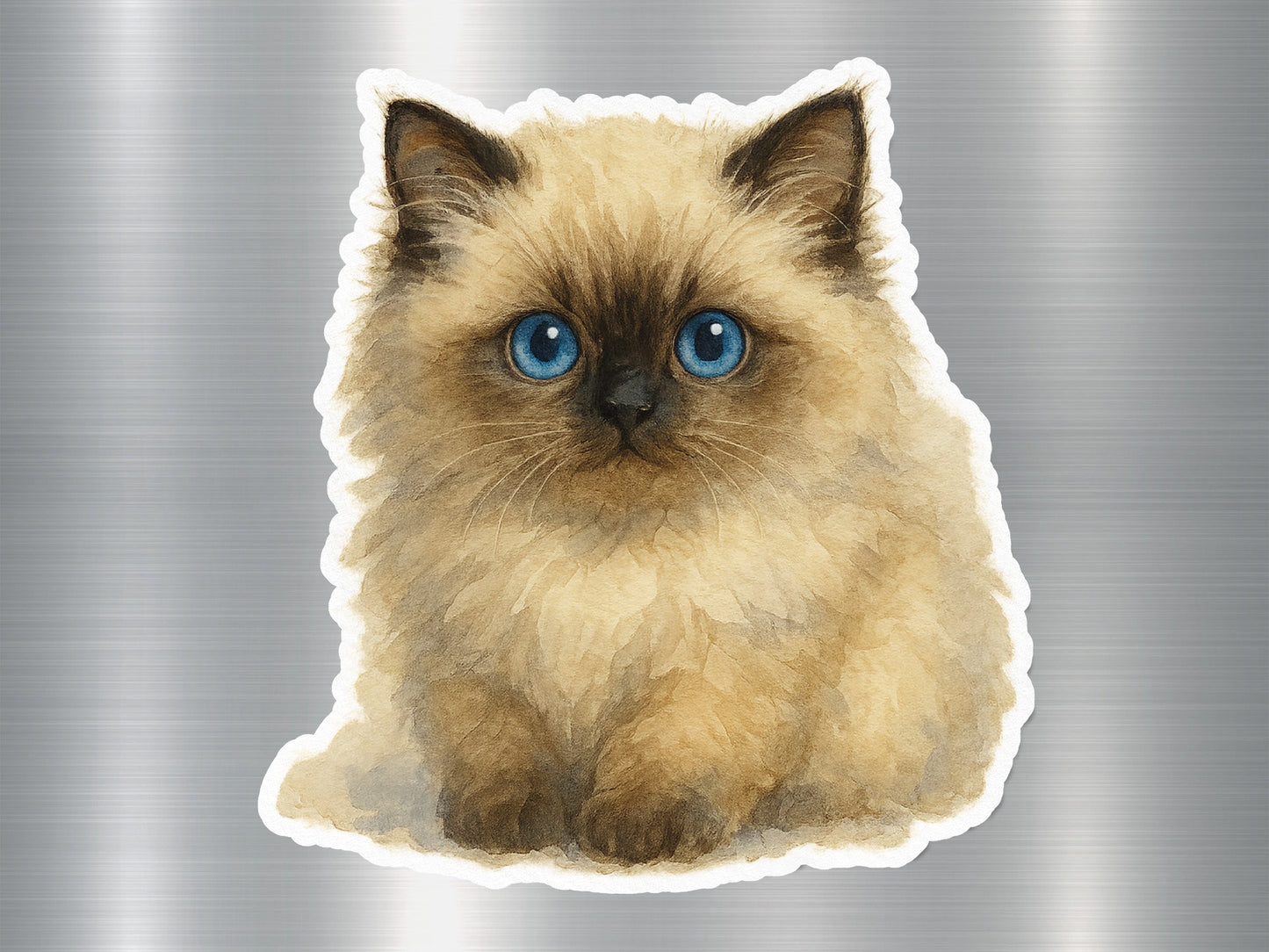 Adorable Fluffy Blue Eyed Kitten Sticker product type