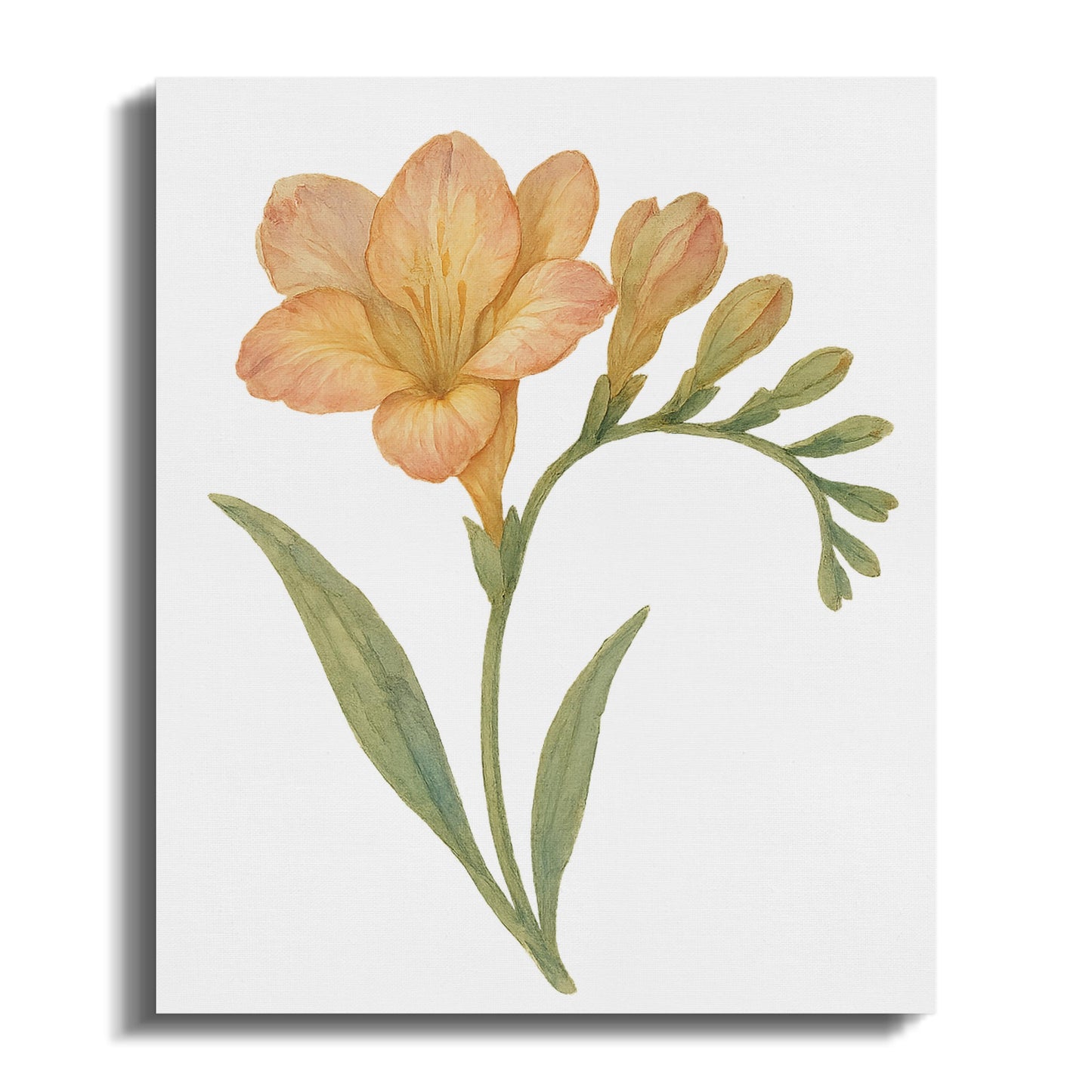 Beautiful Floral Botanical Art Print product
