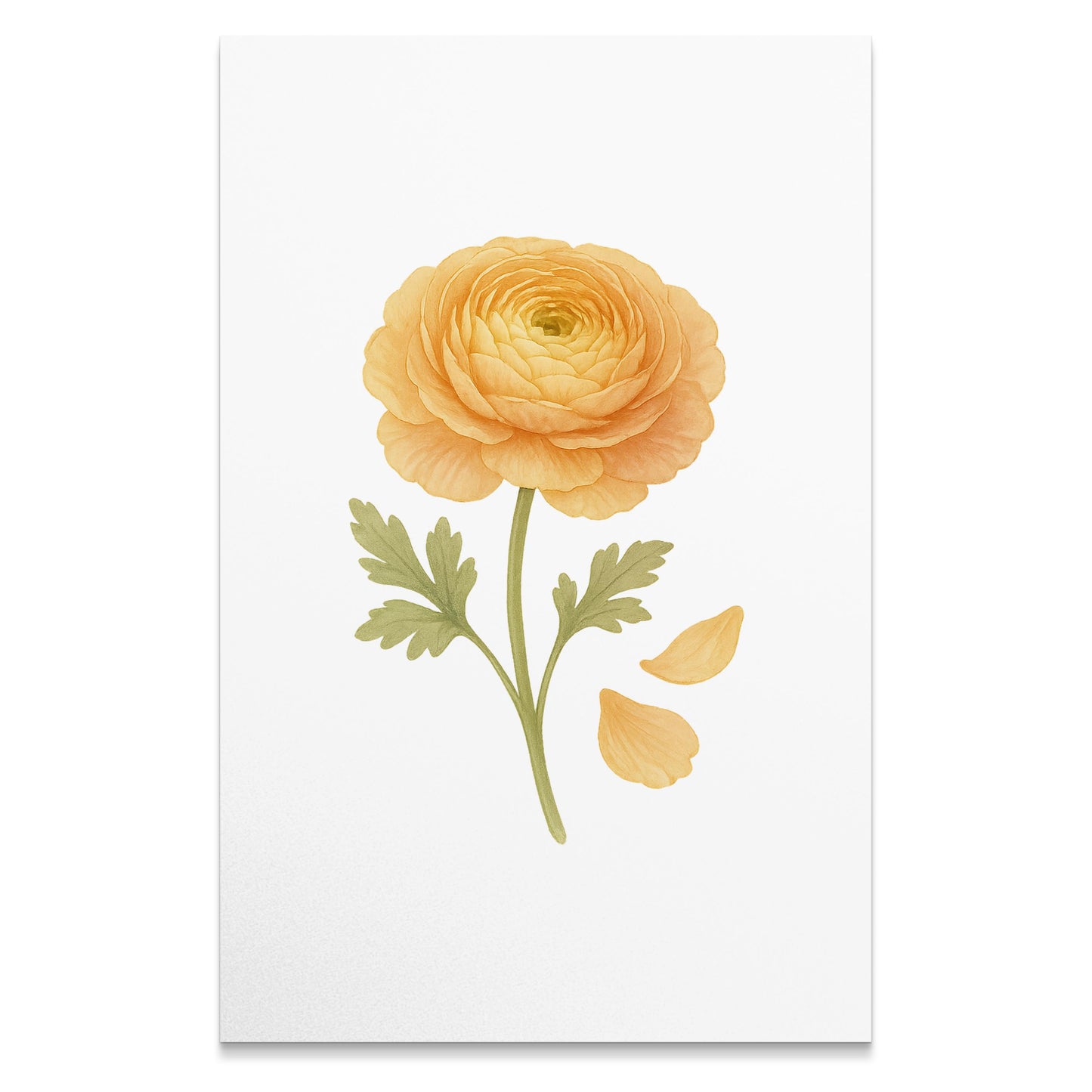 Delicate Orange Flower Art Print Botanical Wall Art product type
