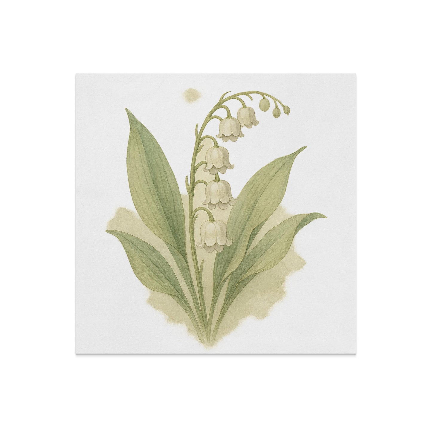 Watercolor Lily of the Valley Illustration Wall Art product