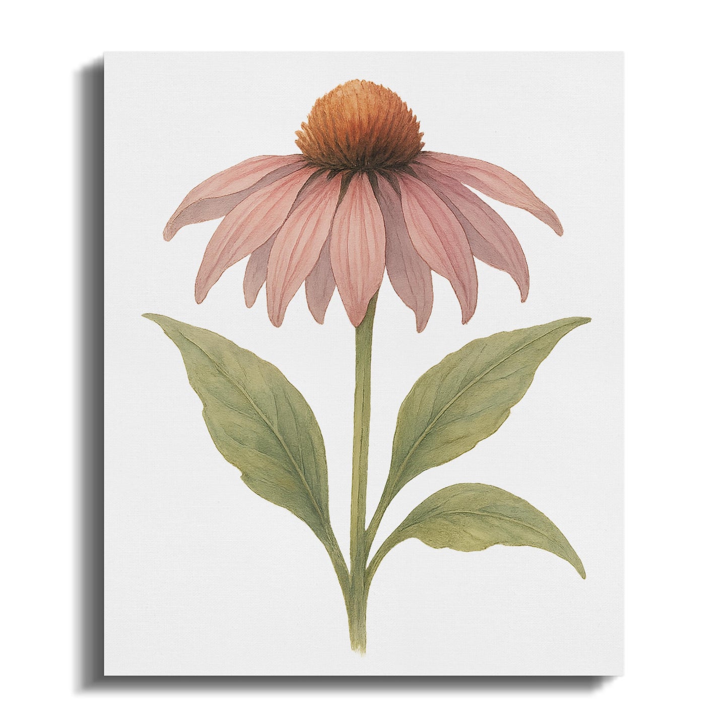 Botanical Art Pink Flower Canvas Wall Art product