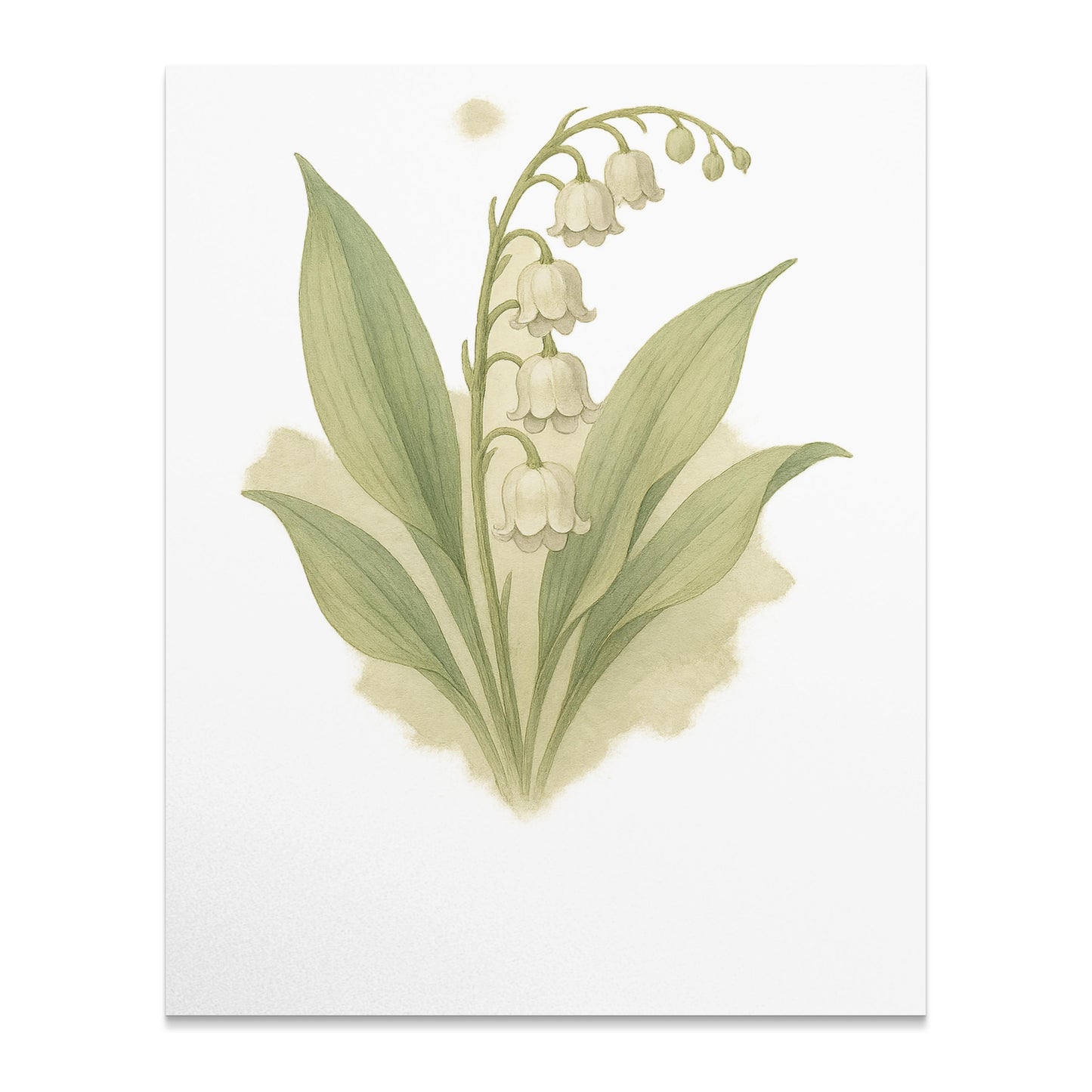 Elegant Lily of the Valley Botanical Print product