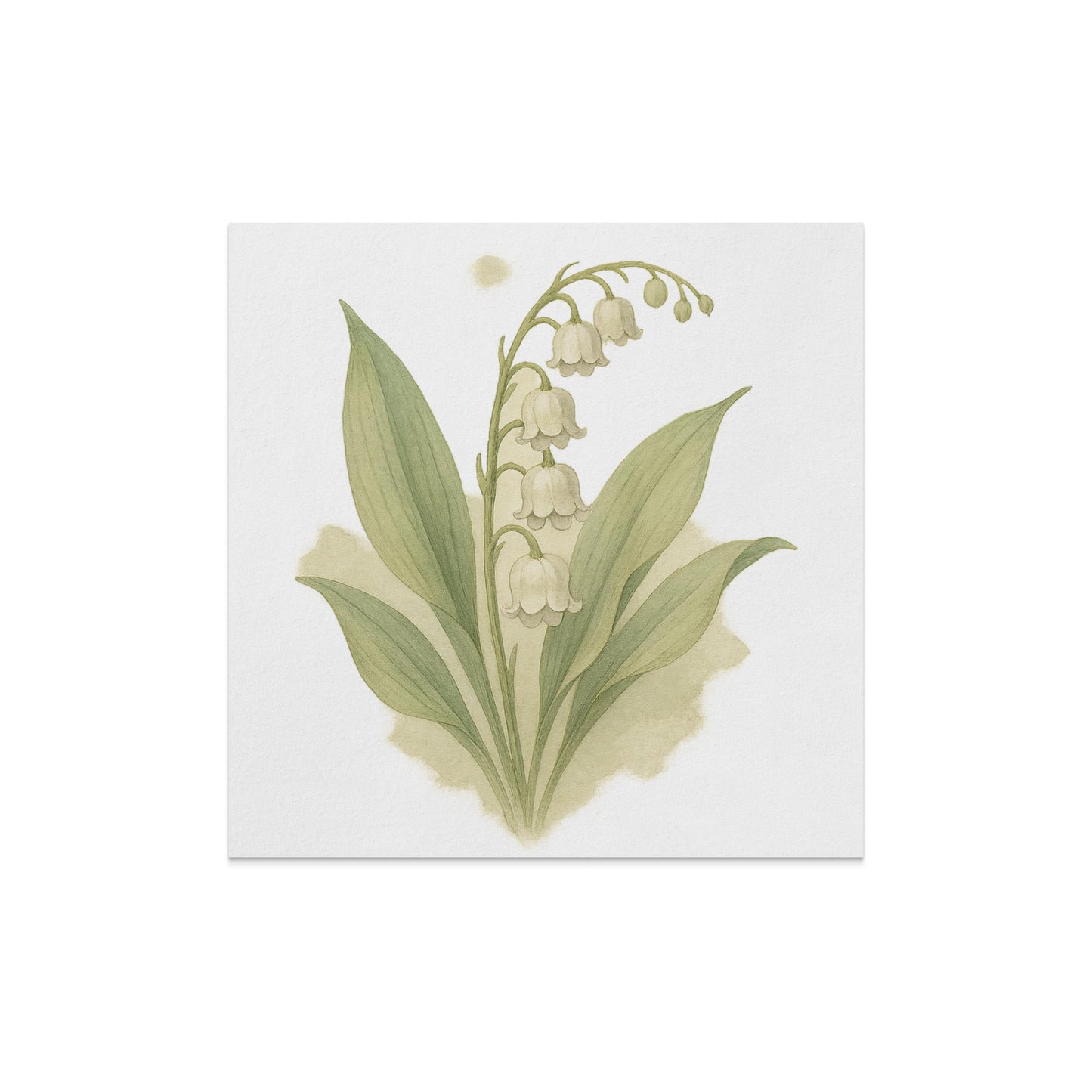 Beautiful Botanical Artwork Wall Decor Canvas product