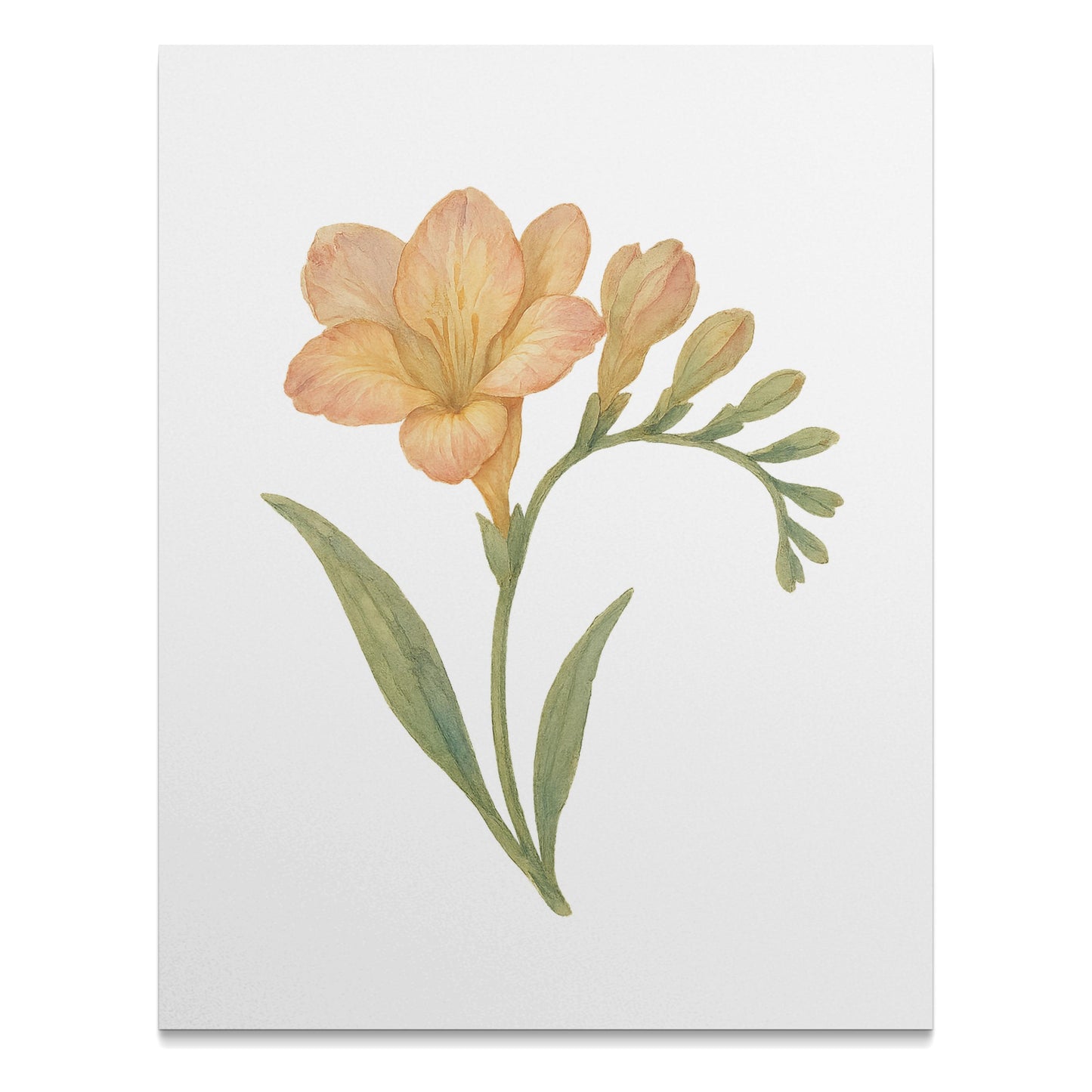Elegant Orange Flower Botanical Art Print product