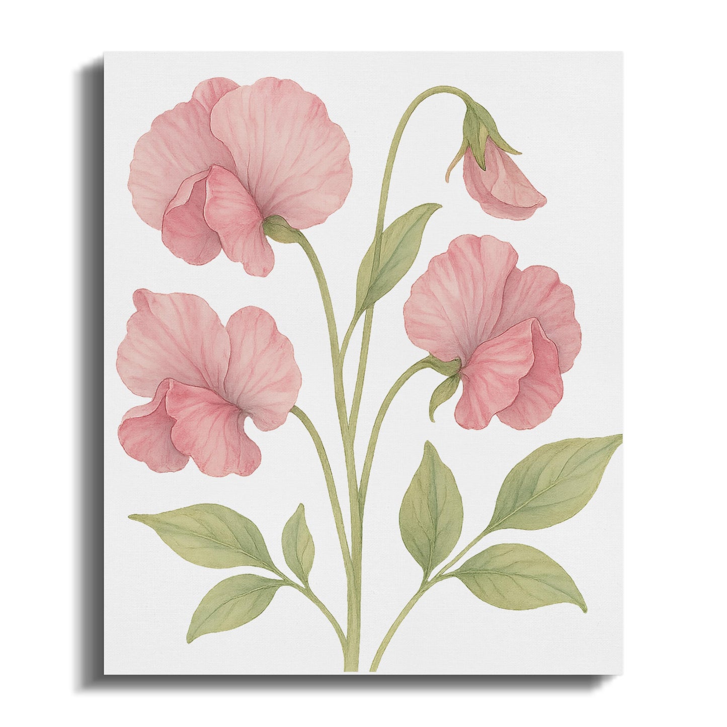 Pink Botanical Floral Print Wall Art product