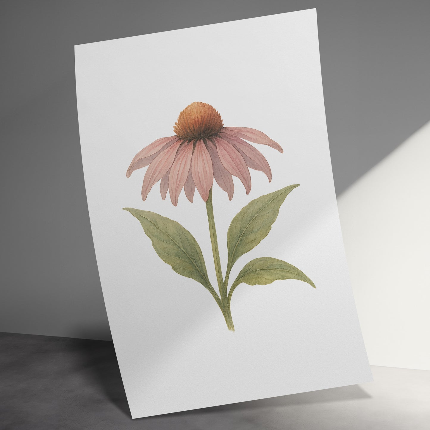 Pink Coneflower Botanical Art Print Wall Décor product