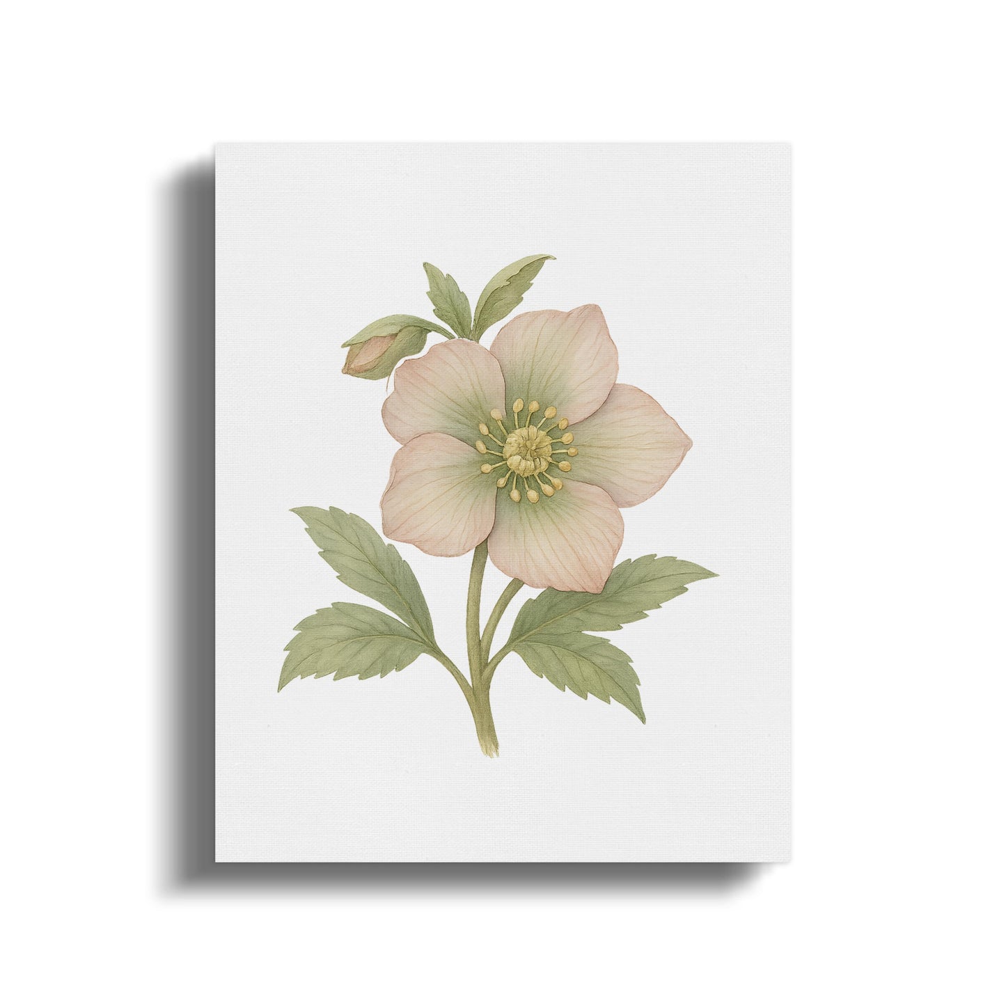 Delicate Pastel Flower Illustration on White Wall Art product