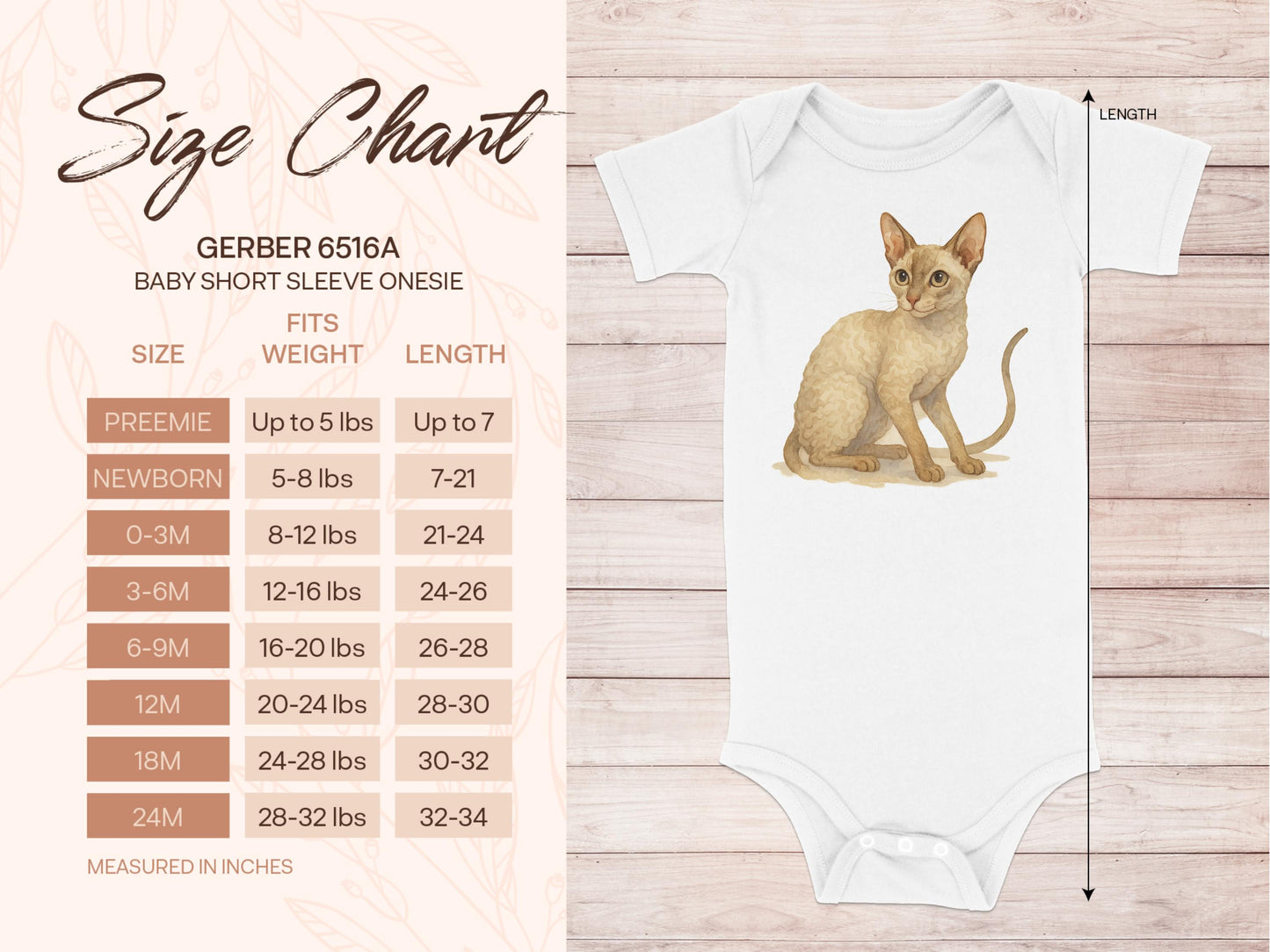 Cute Kitten Design Baby Short Sleeve Onesie product type