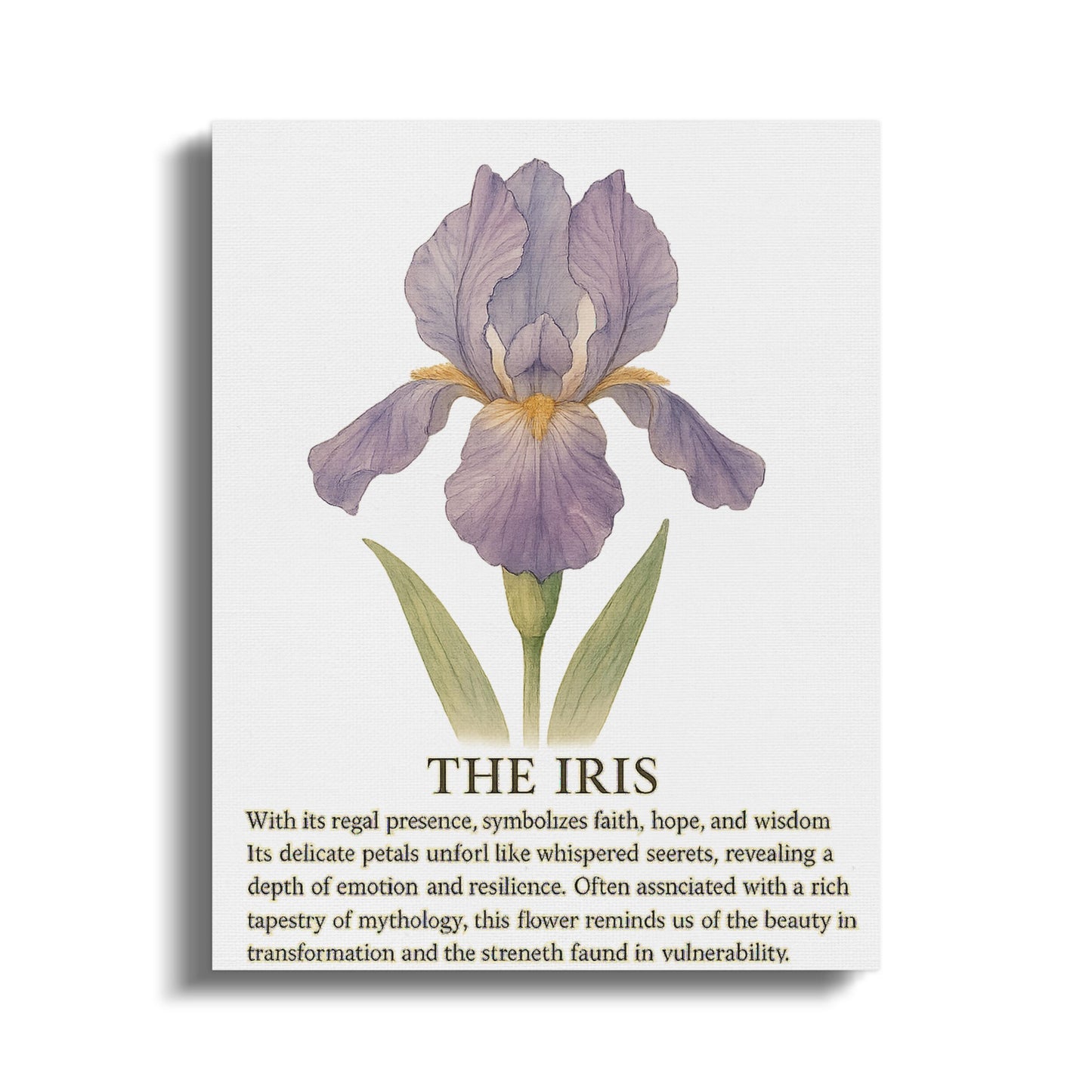 Beautiful Iris Flower Symbolism Art Canvas product