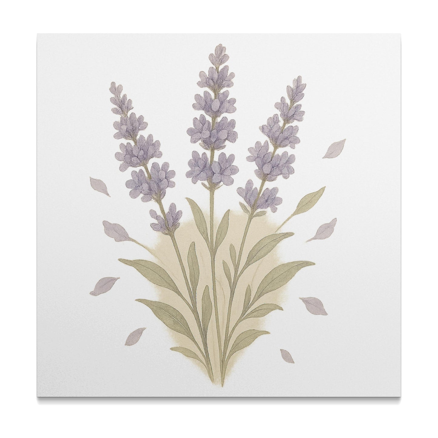 Lavender Botanical Illustration Wall Art product type