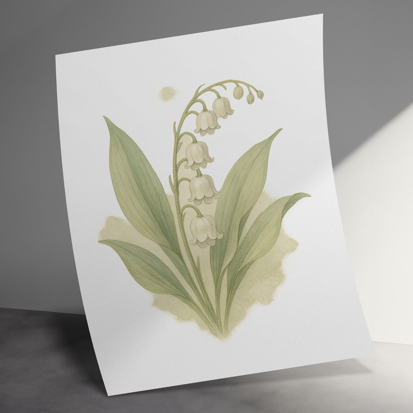 Elegant Botanical Lily Illustration Wall Art product