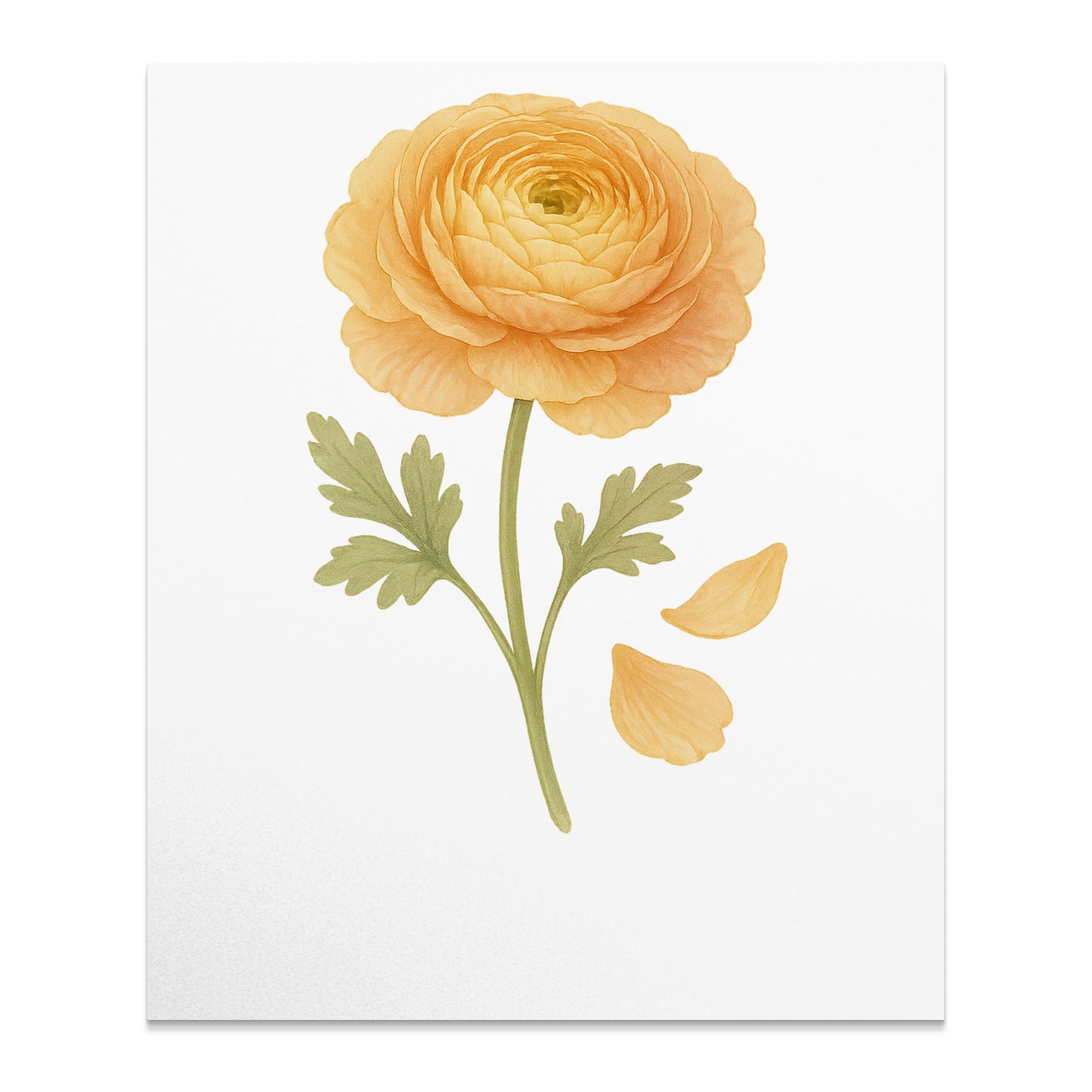 Beautiful Blooming Orange Flower Art Print product