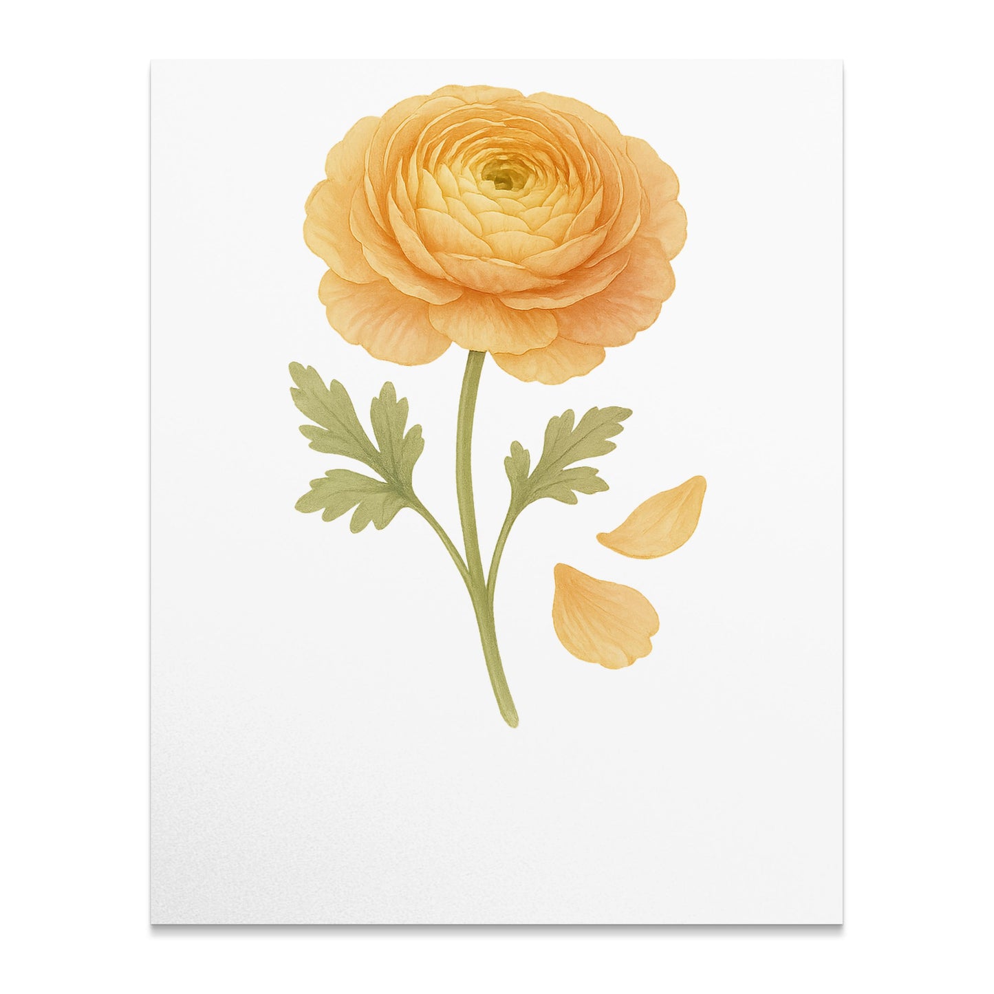 Elegant Yellow Flower Illustration Wall Art product