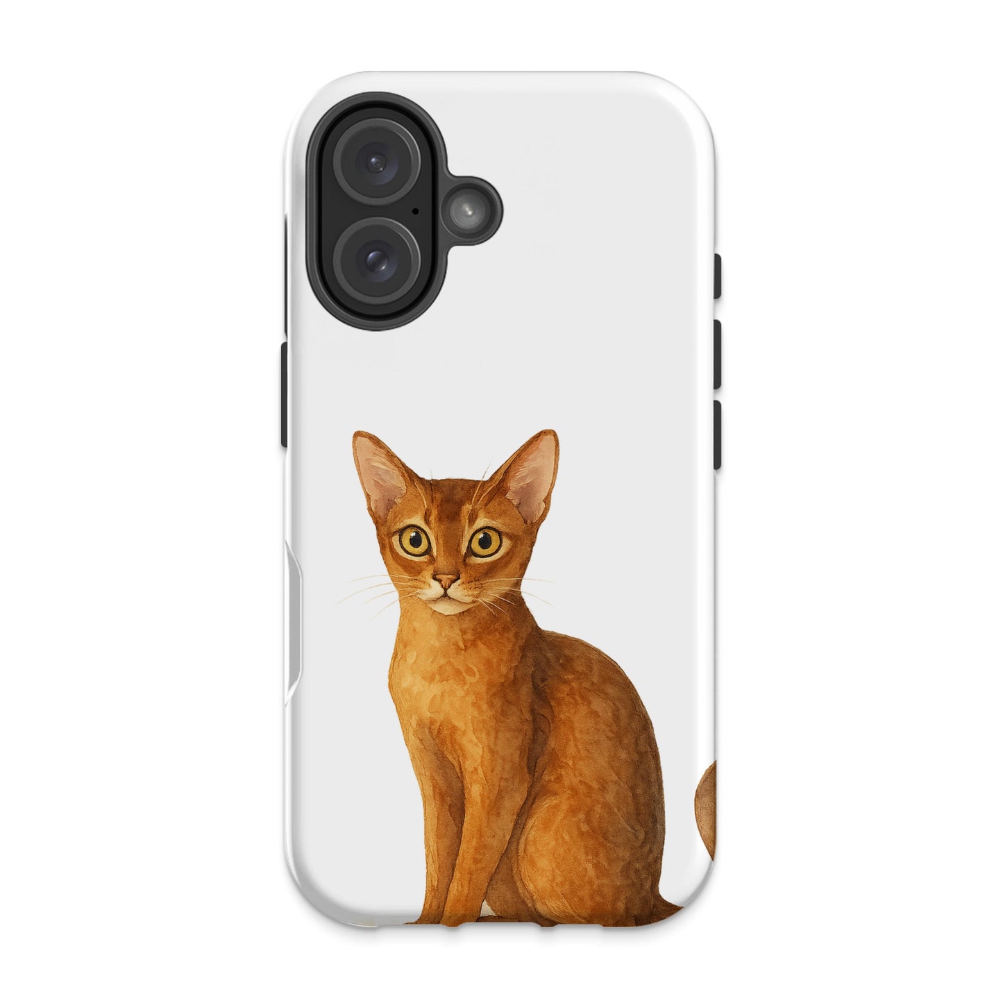 Cute Abyssinian Cat Print Phone Case product