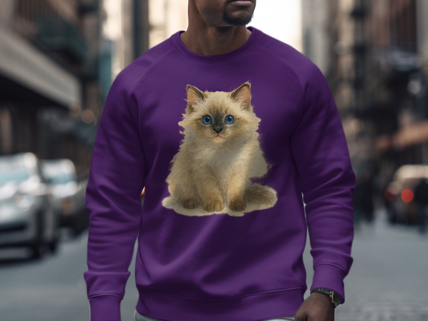 Adorable Blue-Eyed Kitten Graphic Sweatshirt product
