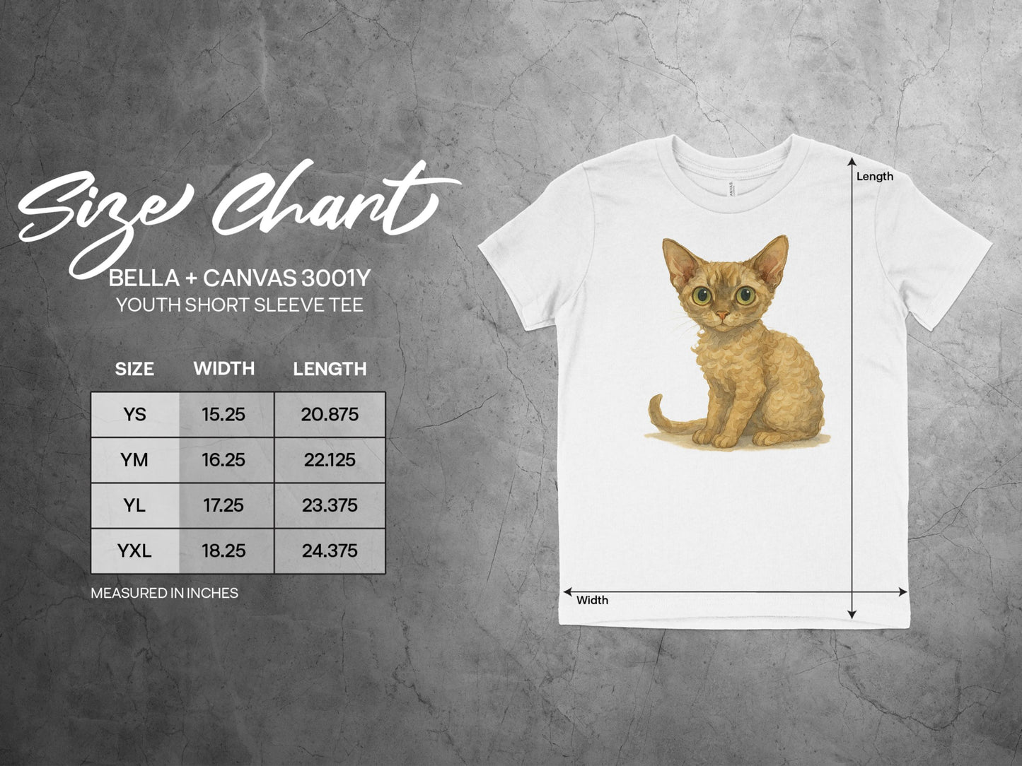 Cute Kitten Graphic Youth Short Sleeve Tee product type