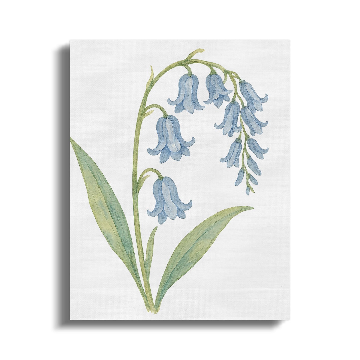Bluebell Flower Botanical Art Canvas Print product