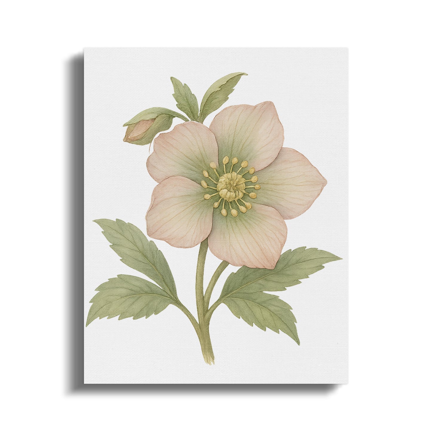 Elegant Botanical Floral Print Artwork Home Decor product