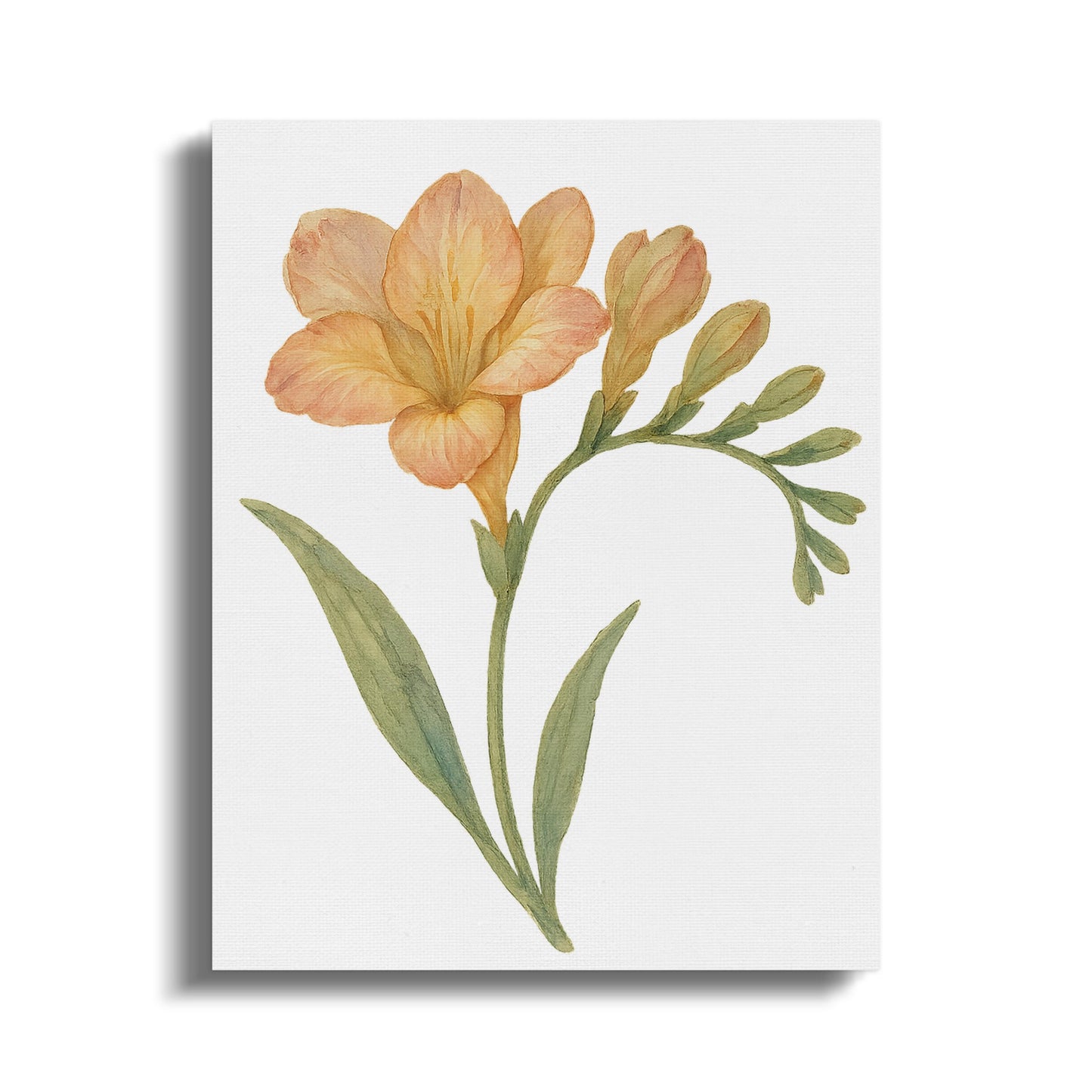 Watercolor Orange Flower Botanical Canvas Art product