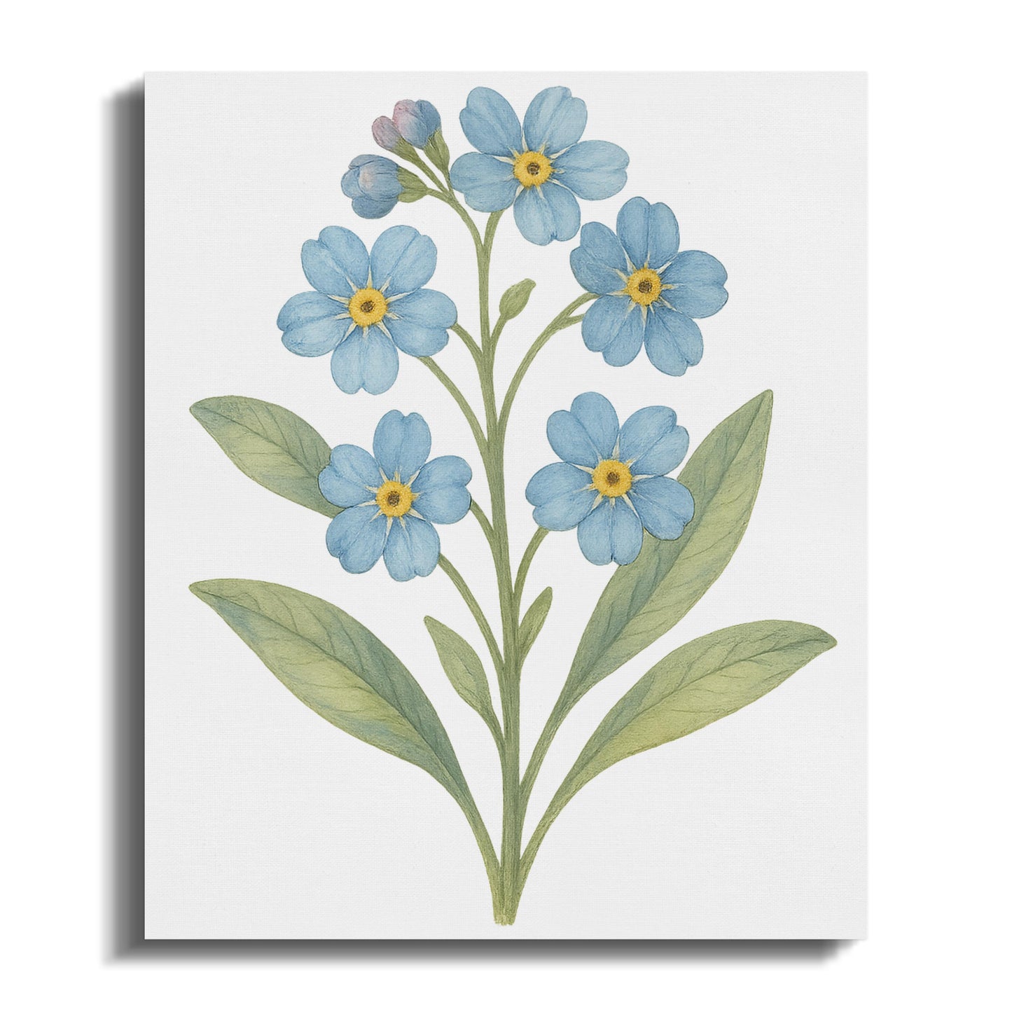 Delicate Blue Floral Bloom on Canvas Wall Art product