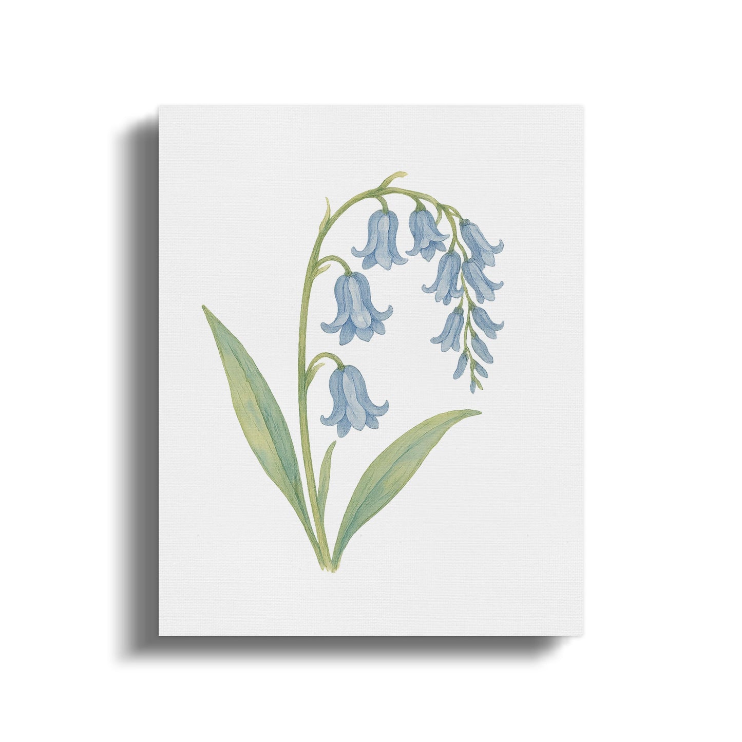 Bluebell Botanical Watercolor Print Canvas Art product