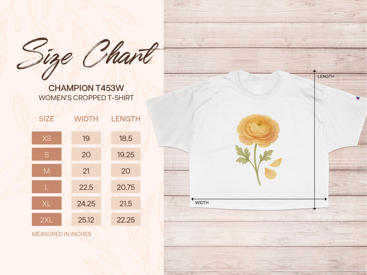 Champion T435W Women's Cropped T-Shirt product type