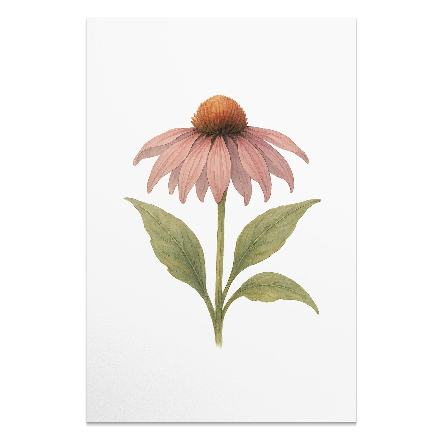 Beautiful Pink Flower Botanical Art Print product type