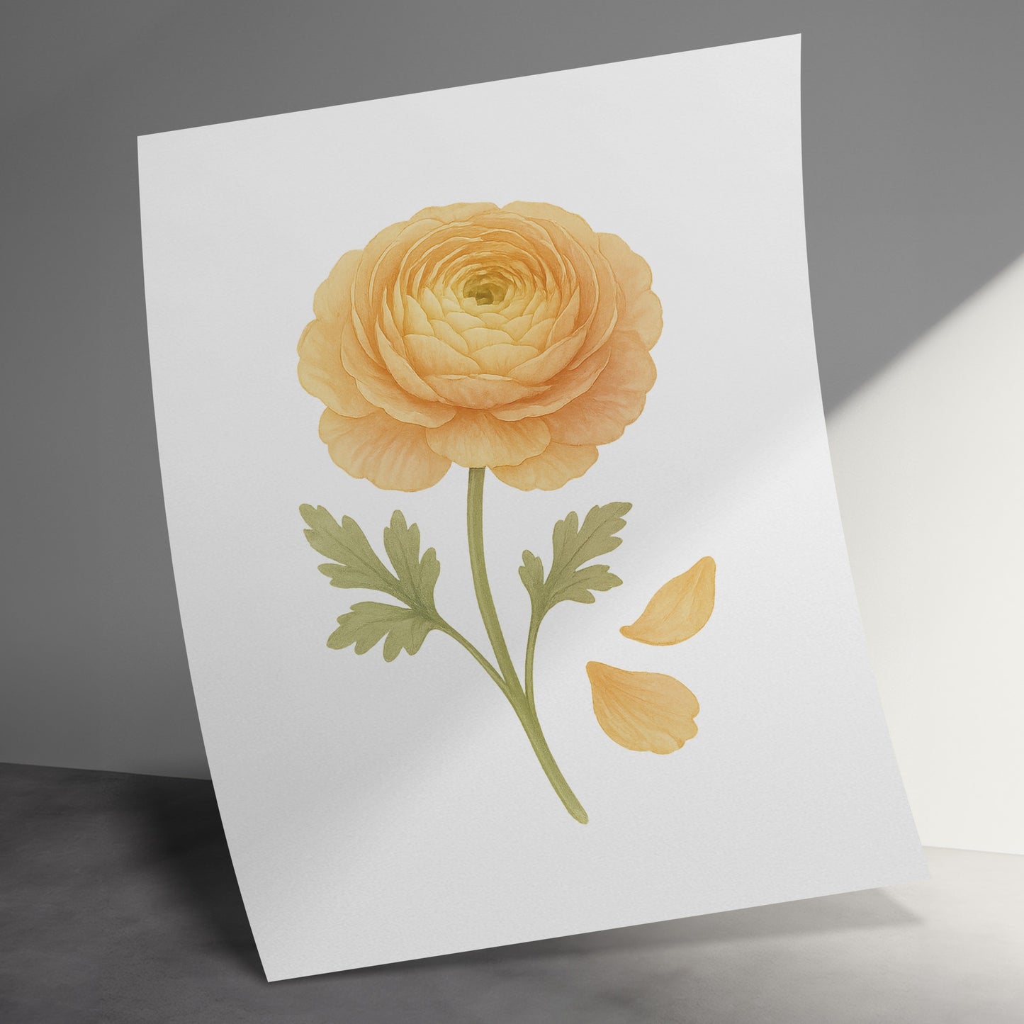 Yellow Ranunculus Flower Art Print product type