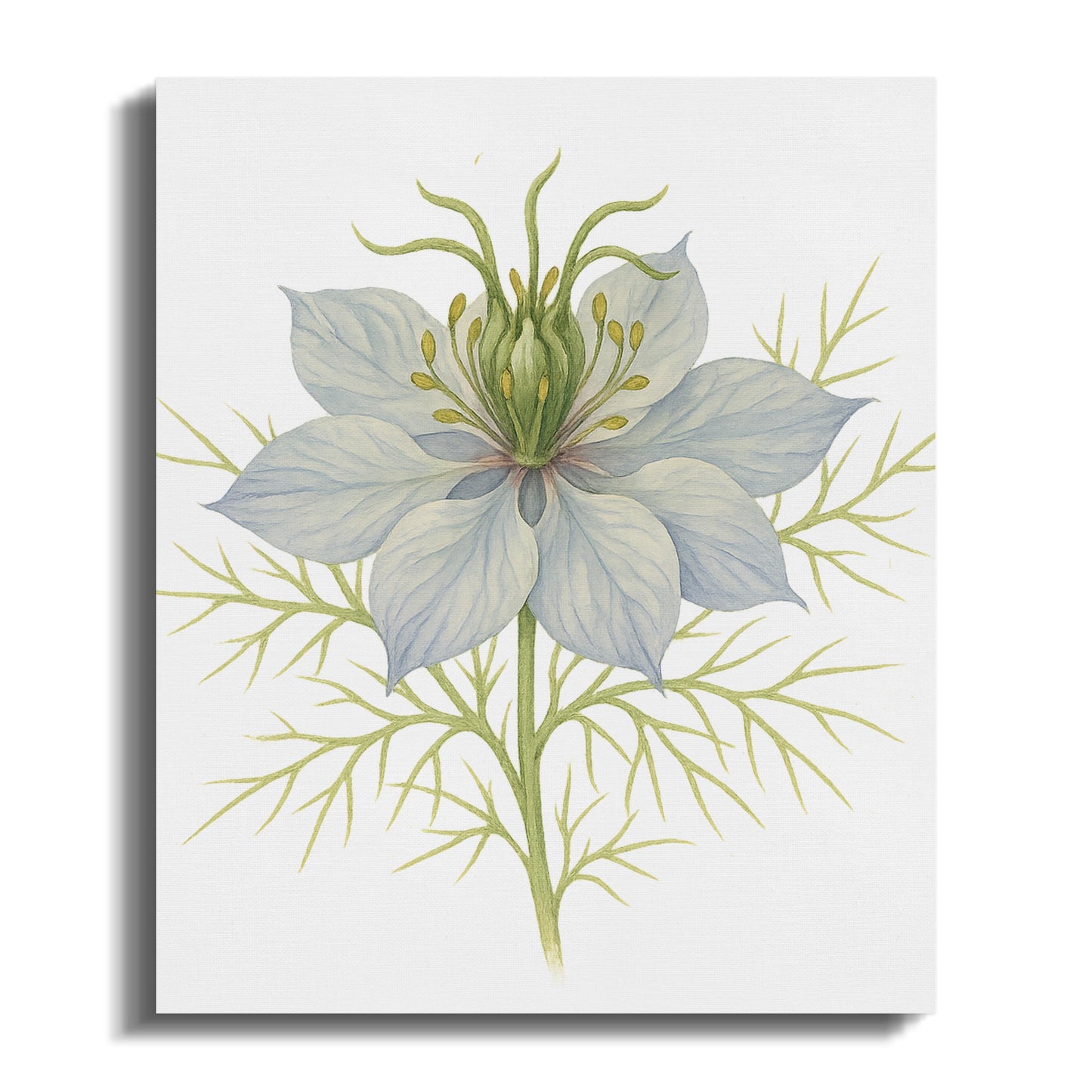 Botanical Flower Art Print Wall Decor product