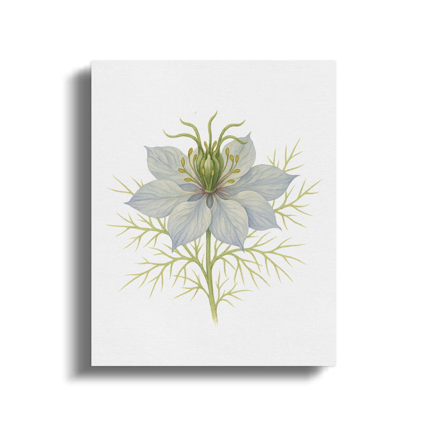 Delicate Botanical Illustration Floral Wall Art product