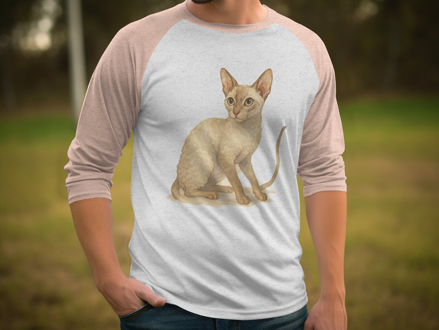 Adorable Curly Haired Cat Graphic Raglan Sleeve product