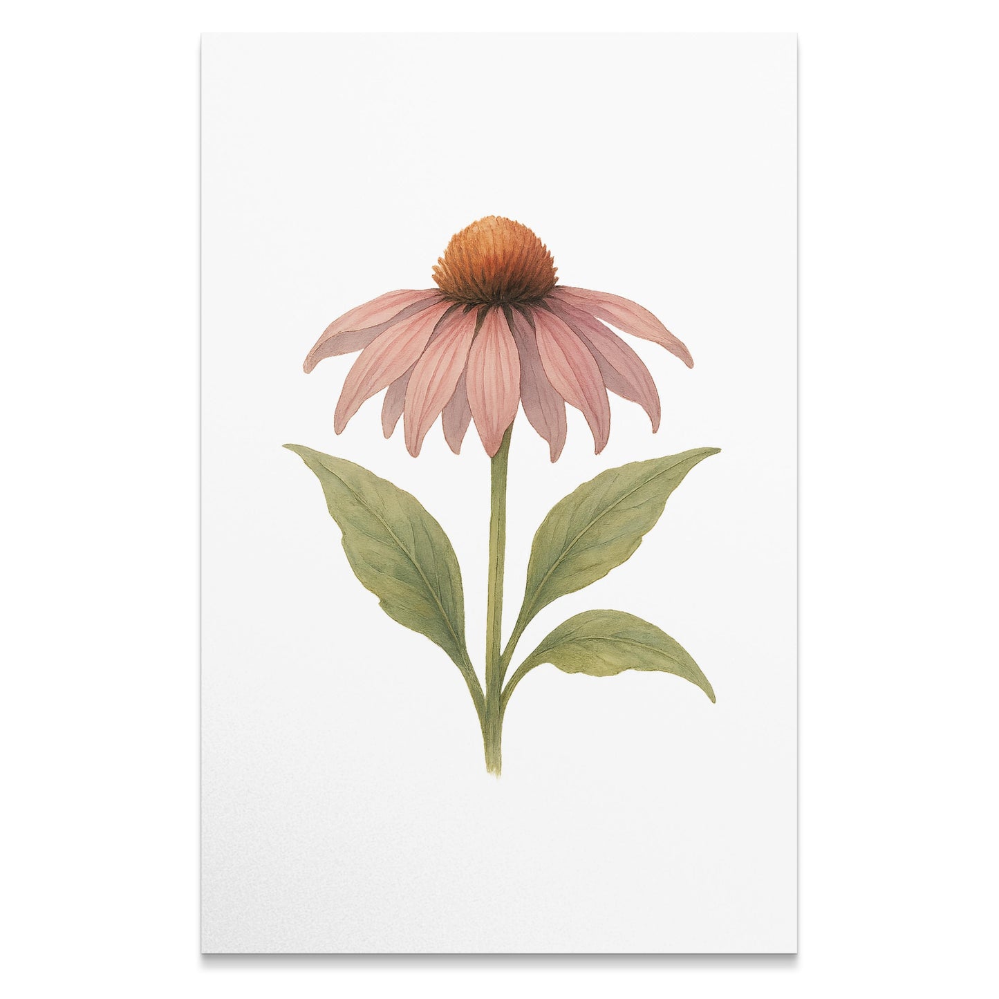 Beautiful Single Pink Blossom Wall Art product