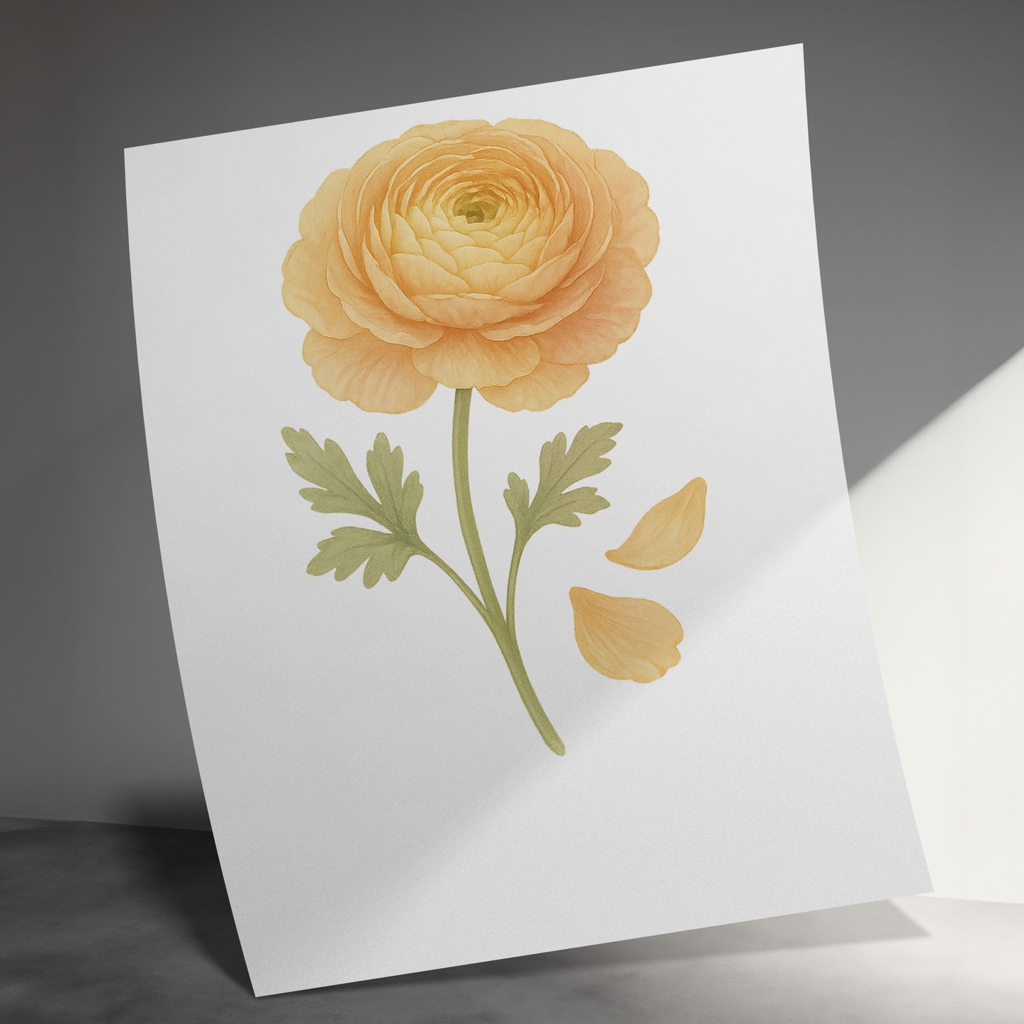 Stunning Botanical Illustration of Yellow Flower product type