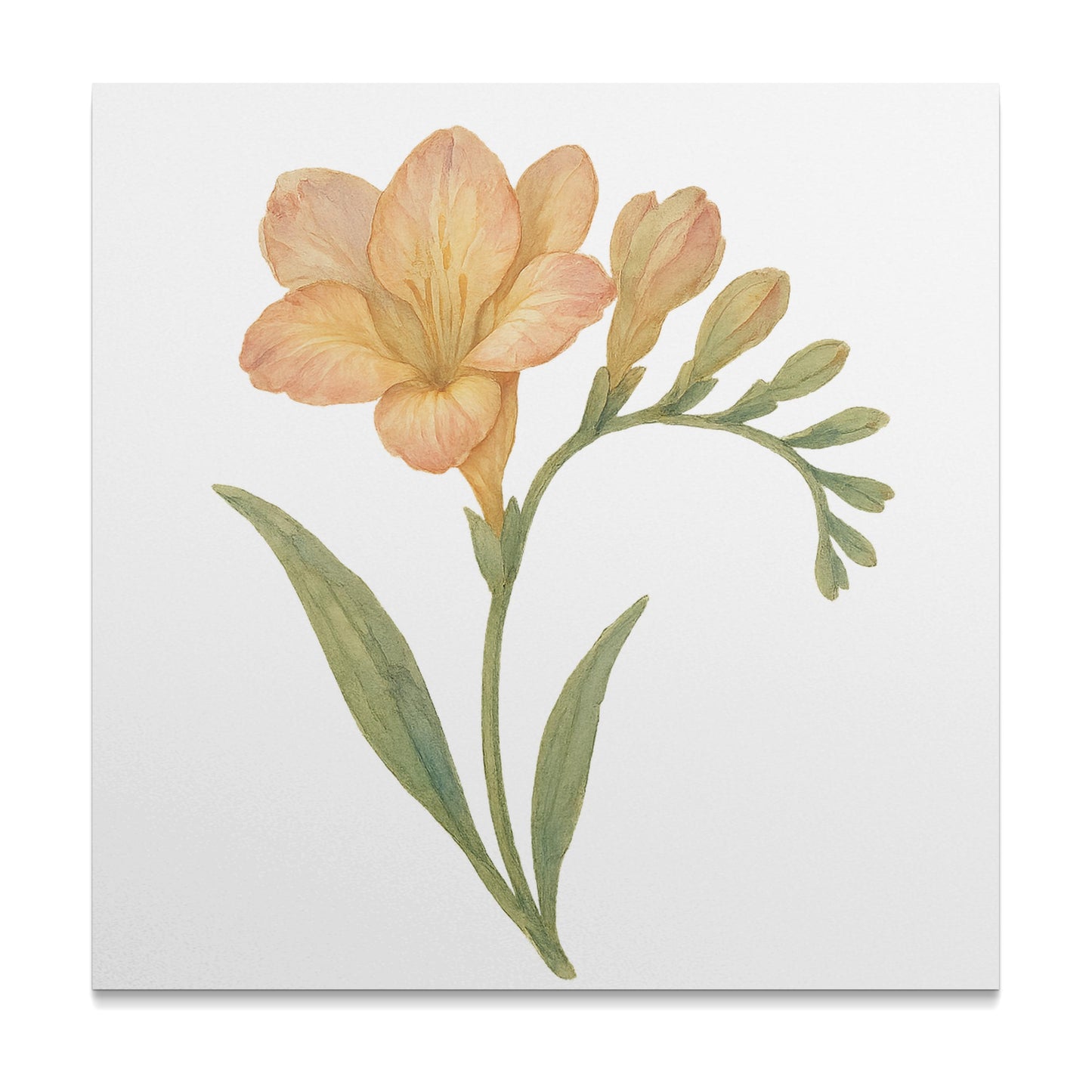 Elegant Floral Artwork Peach Bloom Wall Art product