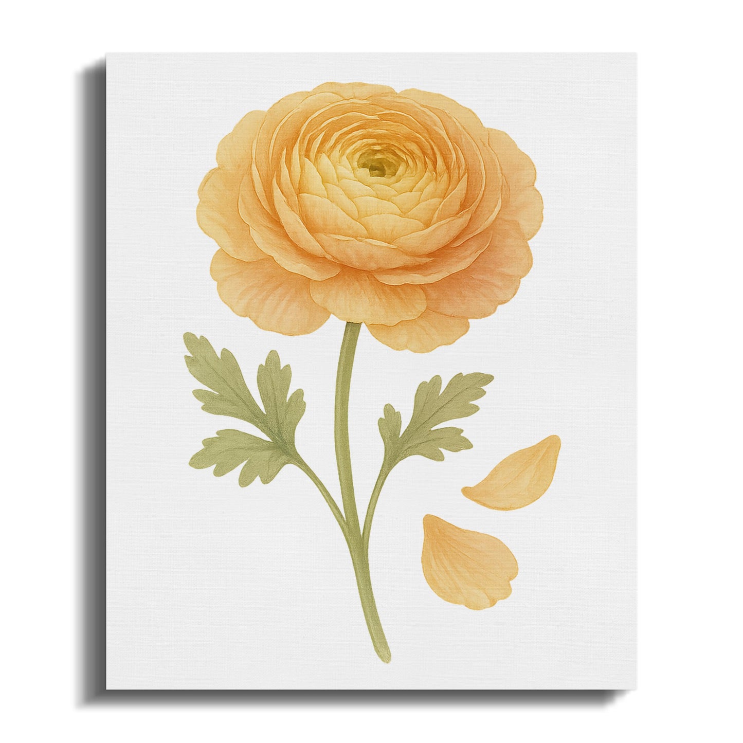 Elegant Orange Blossom Art Print Wall Decor product
