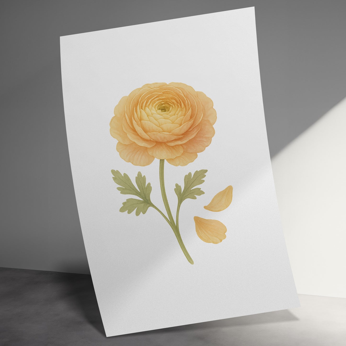 Beautiful Orange Flower Botanical Poster product