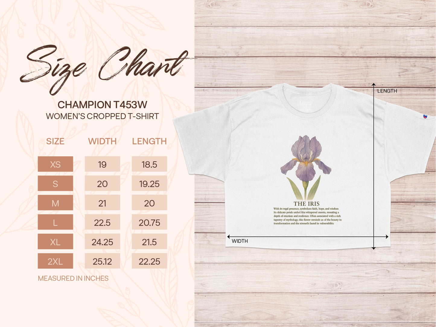 Champion T453W Women's Cropped T-Shirt product type