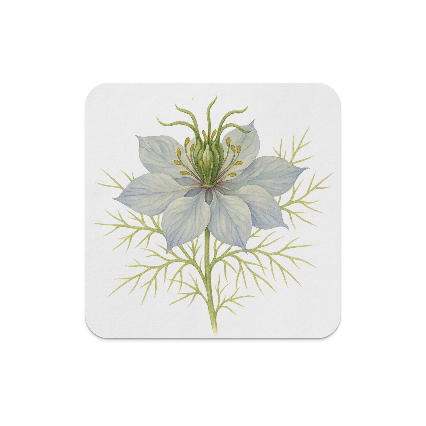 Botanical Illustration of Flower Square Coaster product